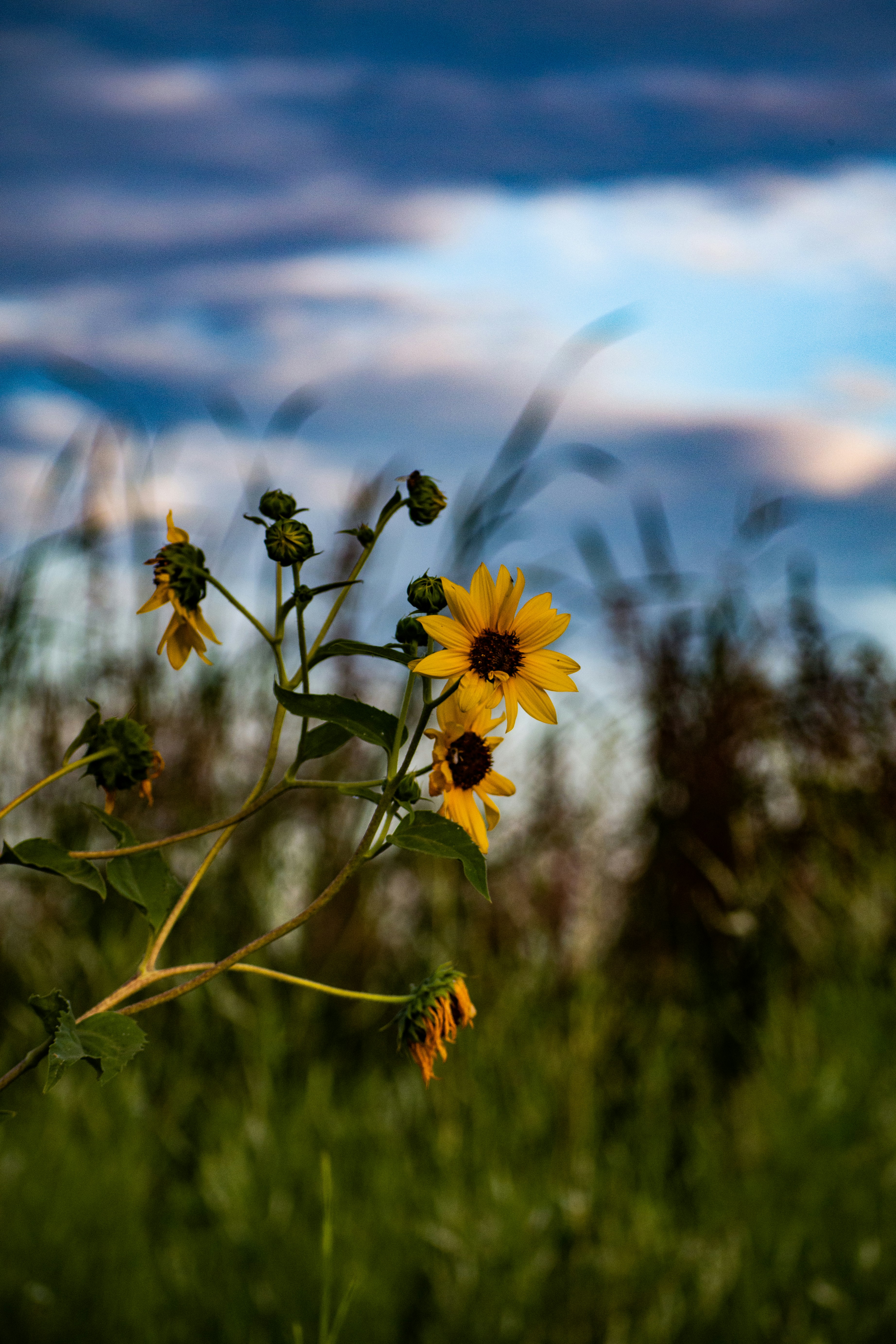 Photo by elisastonephotography