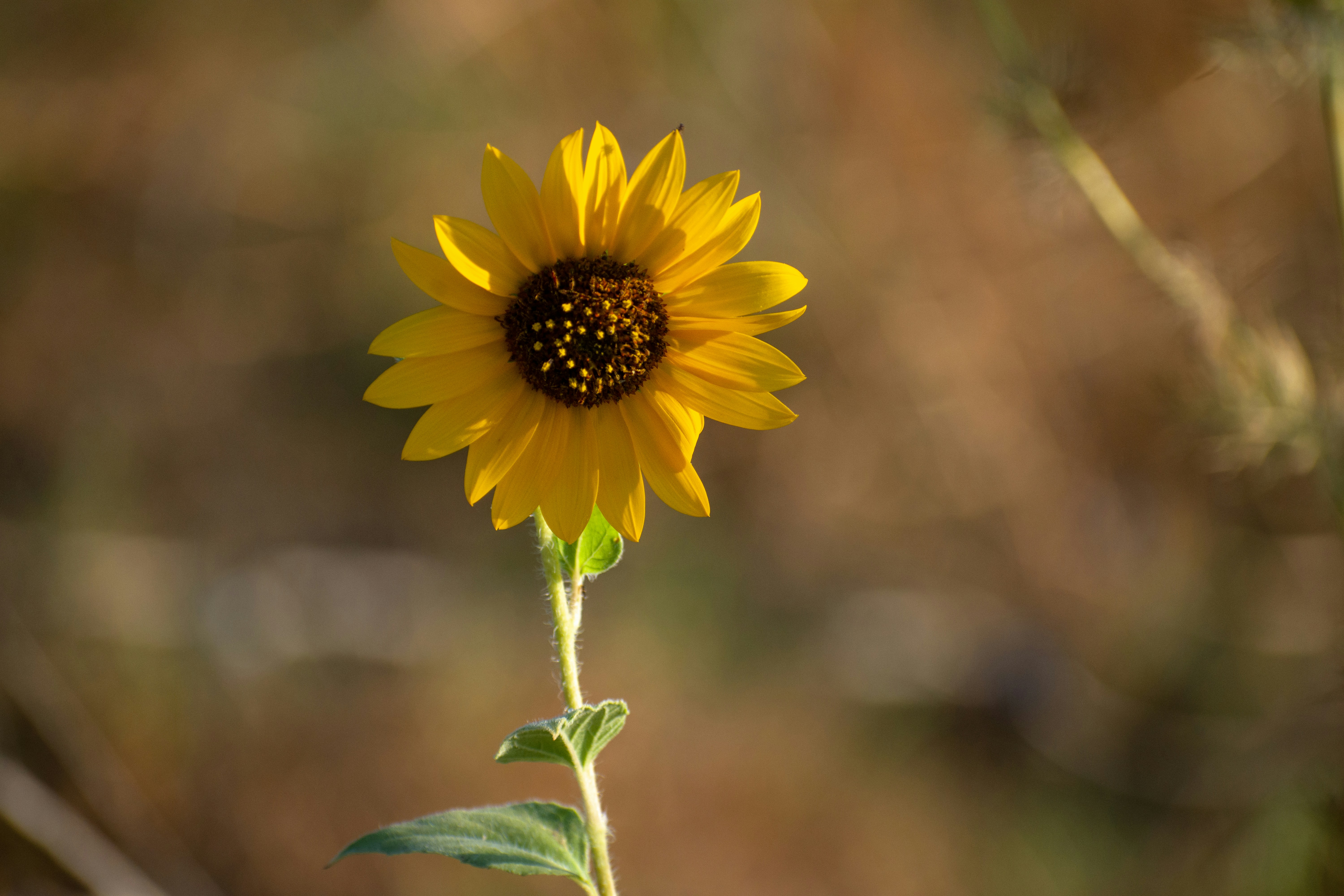 Photo by elisastonephotography