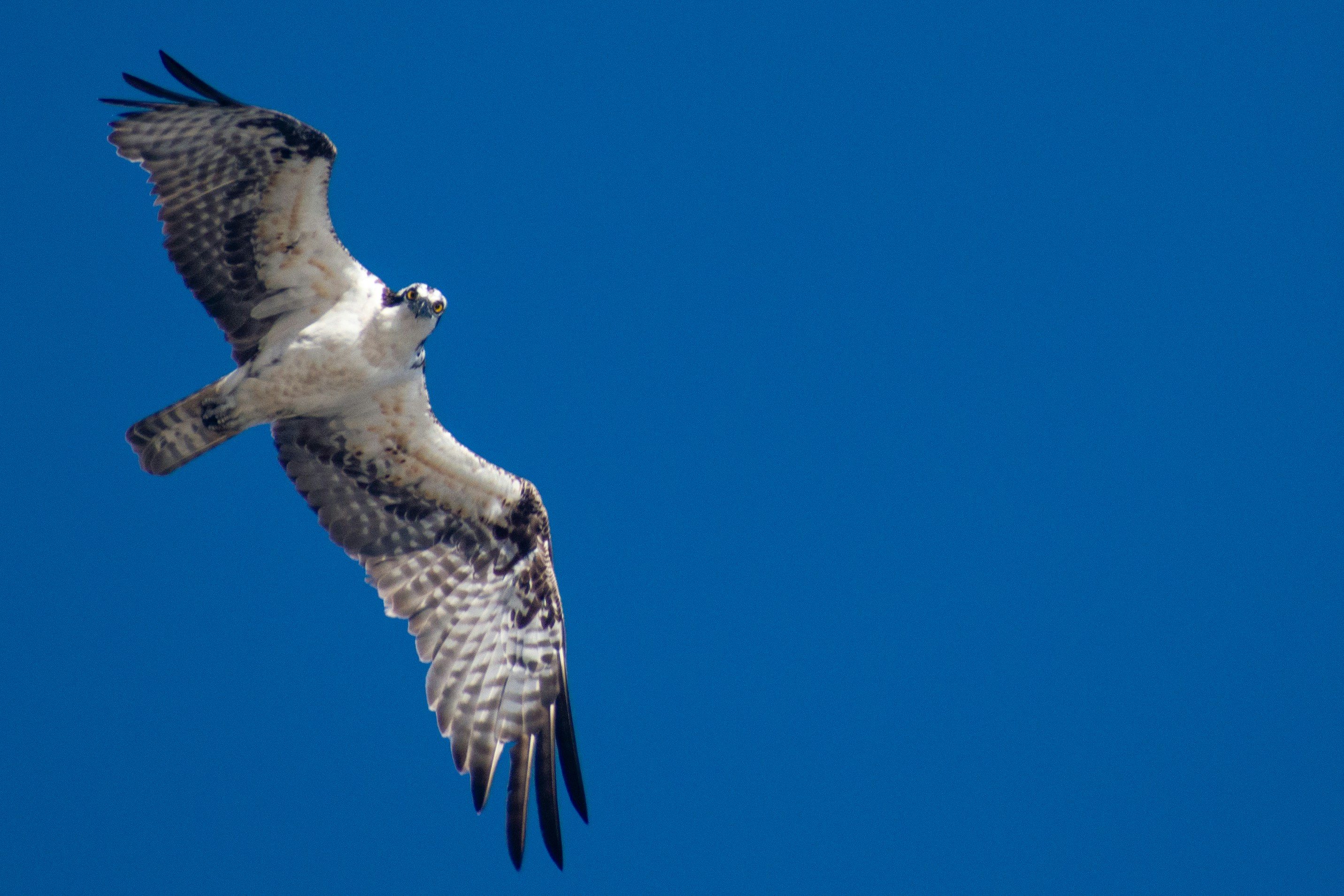 Photo by elisastonephotography