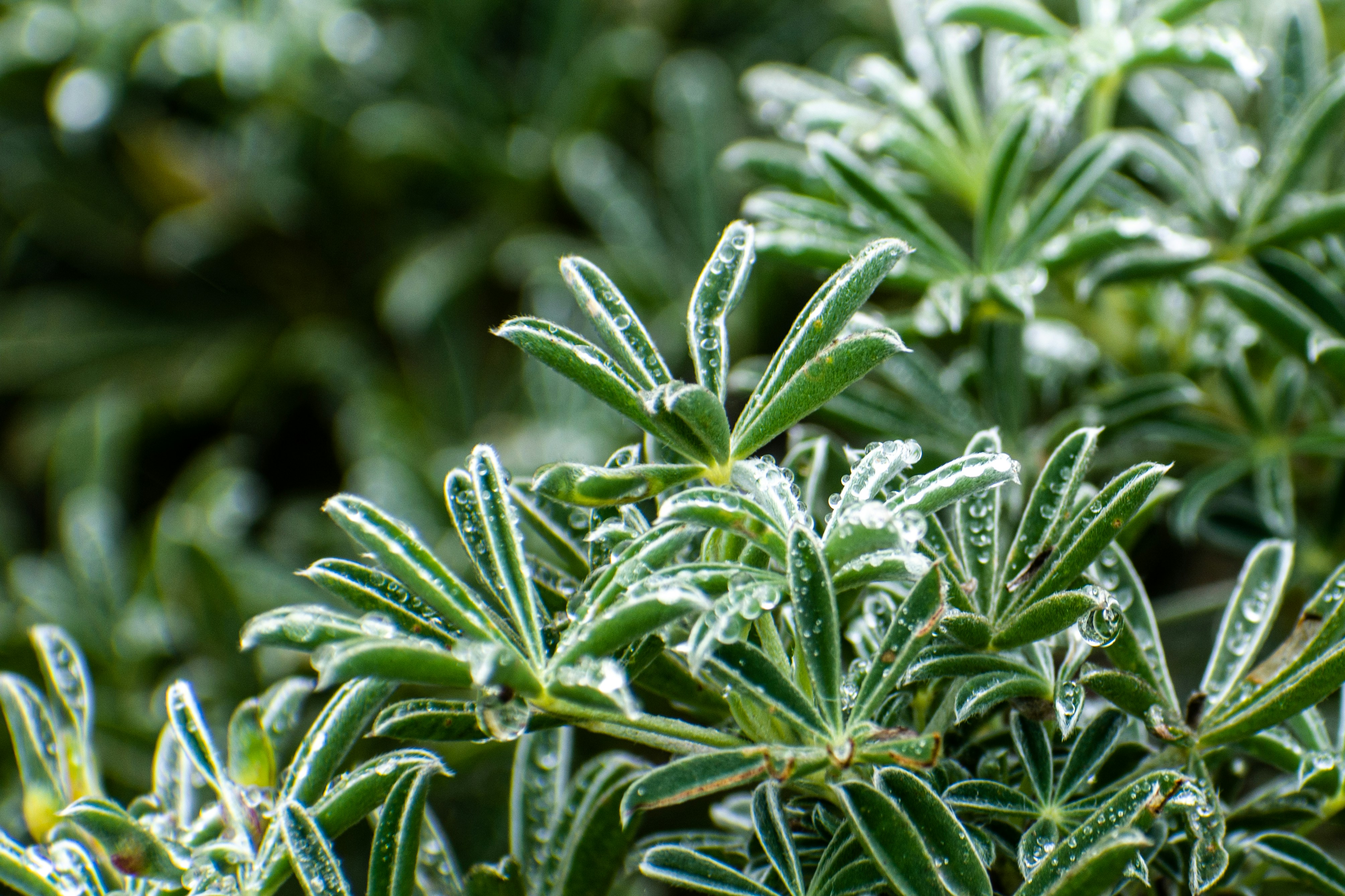 Photo by elisastonephotography