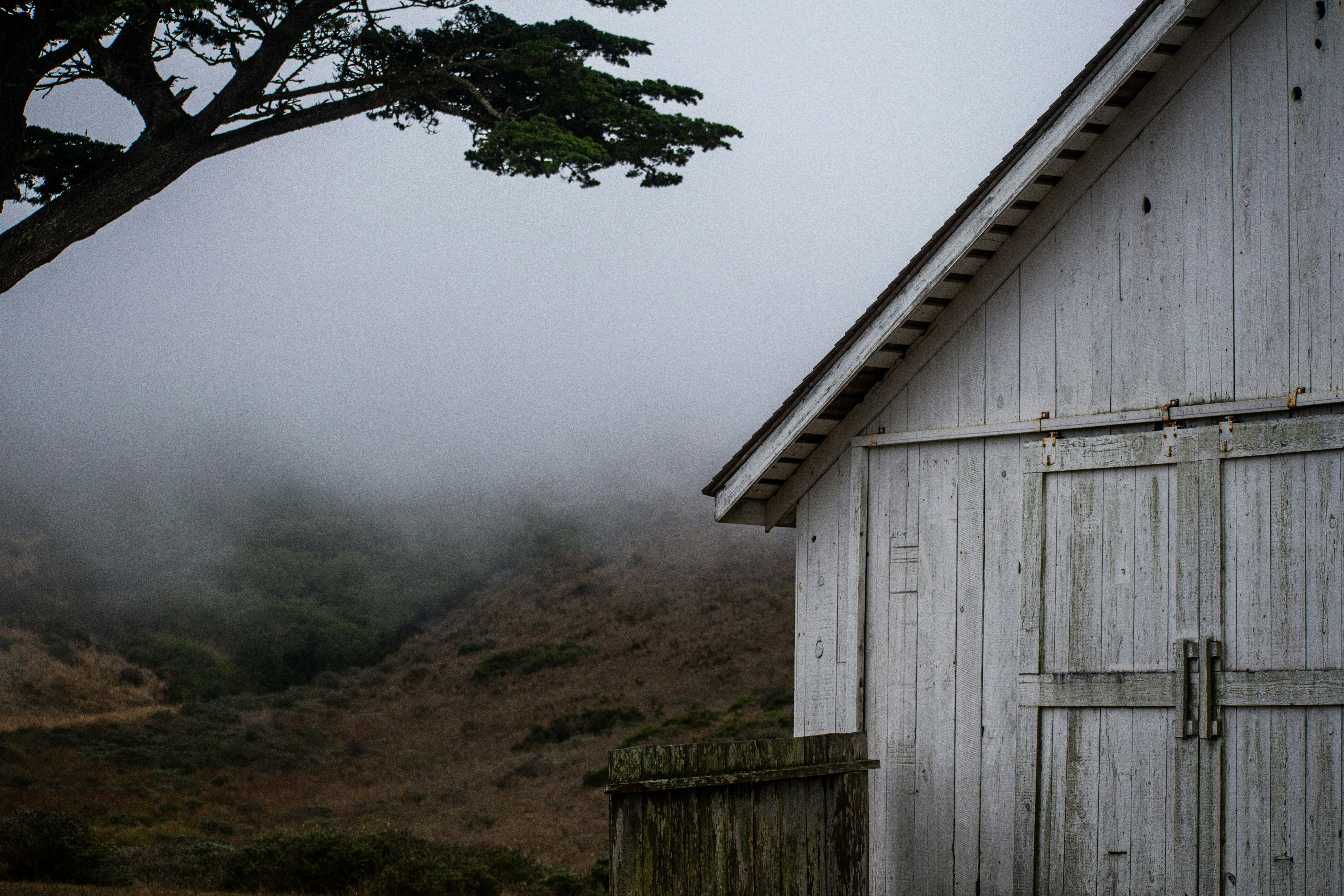 Photo by elisastonephotography