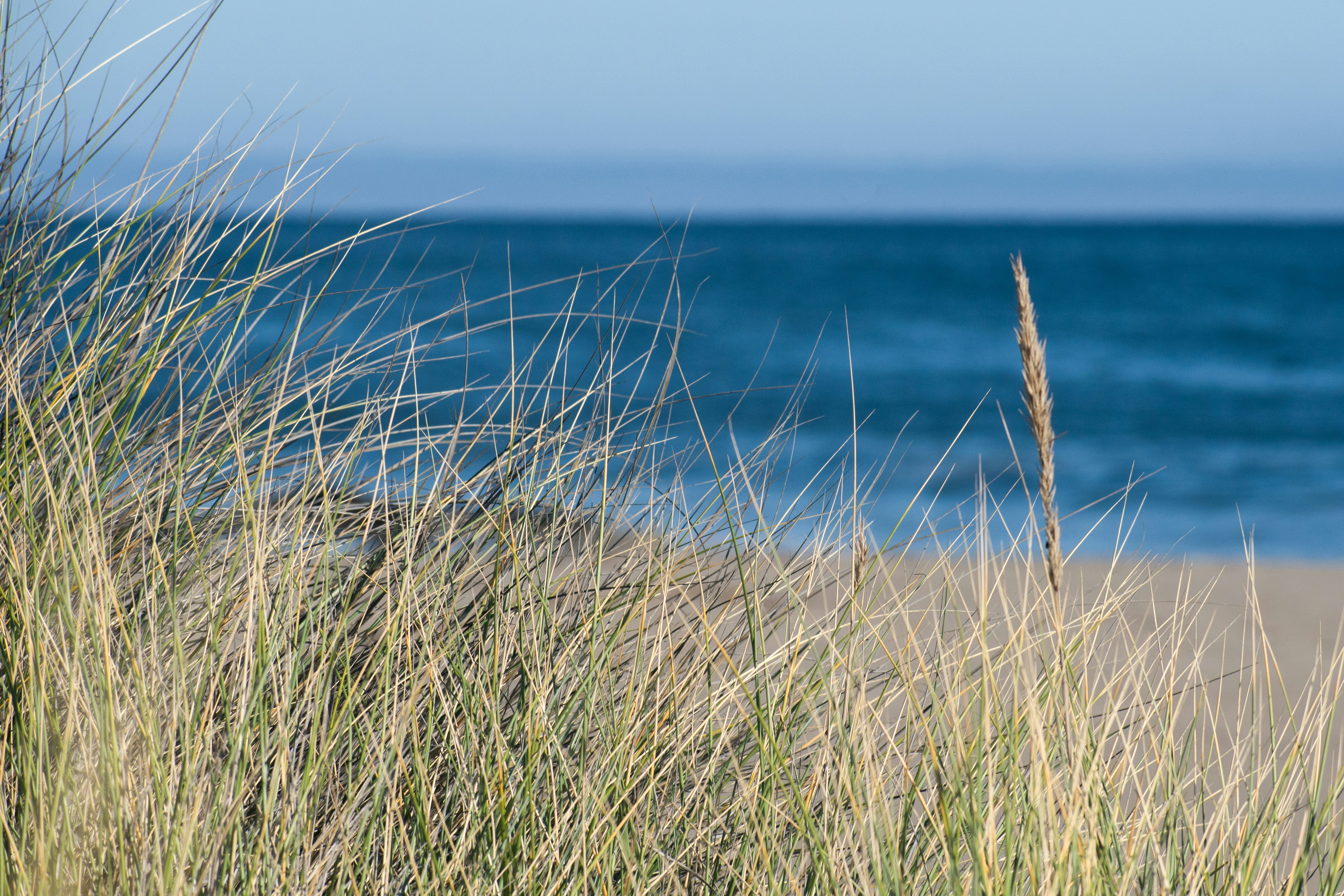 Photo by elisastonephotography