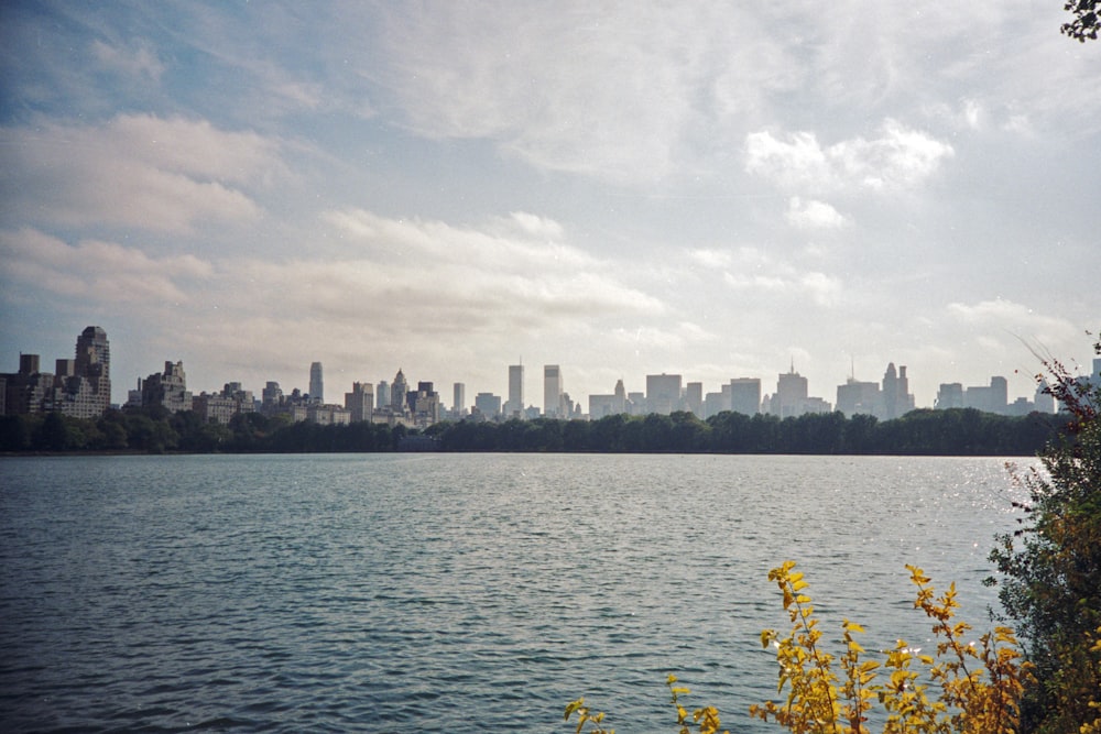 body of water near city buildings under white clouds during daytime