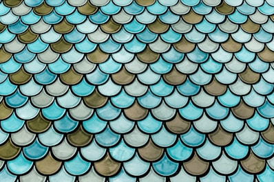 blue and black roof tiles