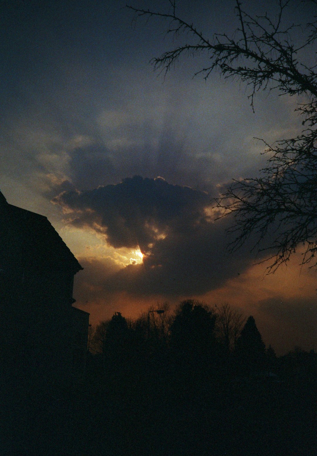 silhouette of house and trees during sunset