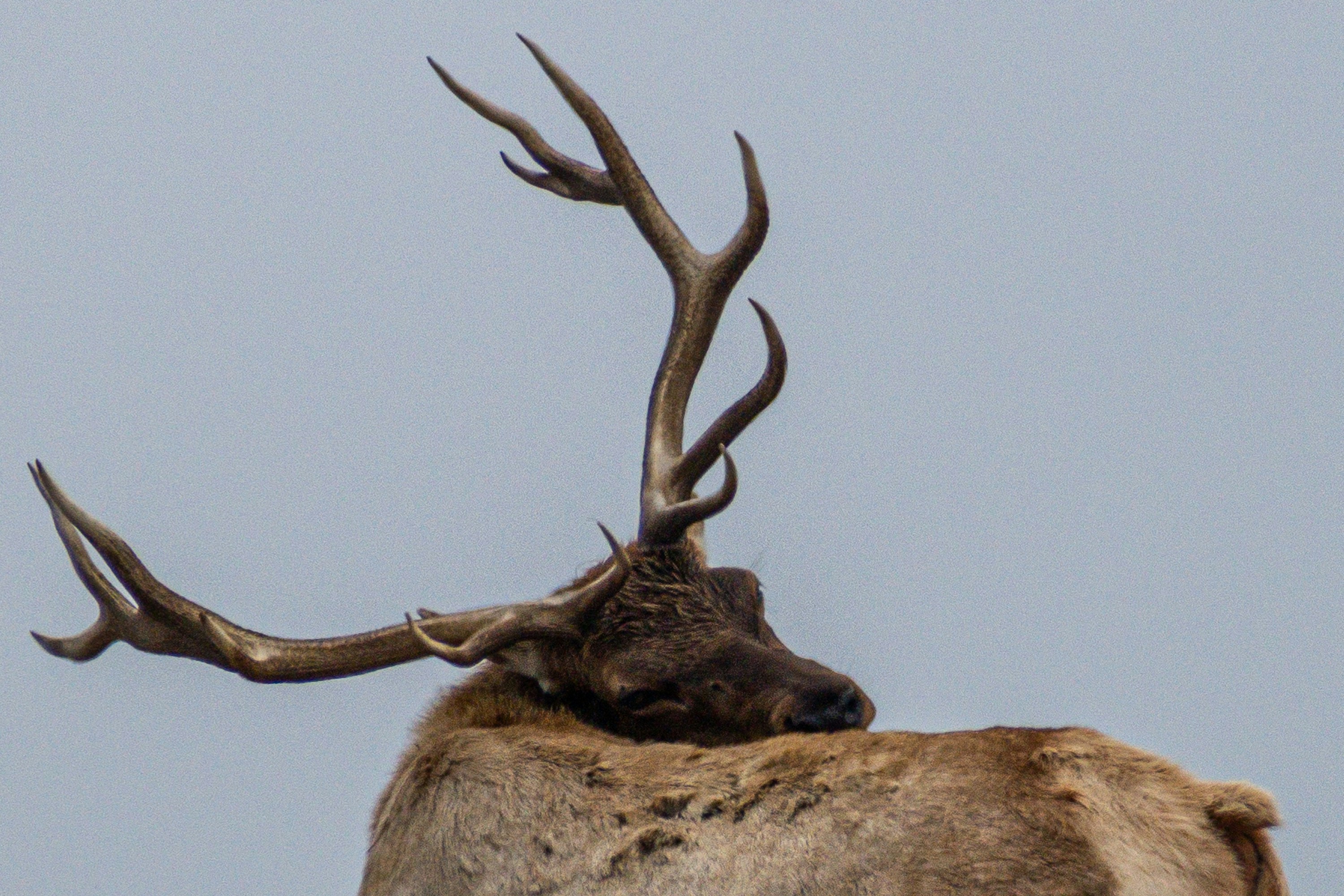 Photo by elisastonephotography