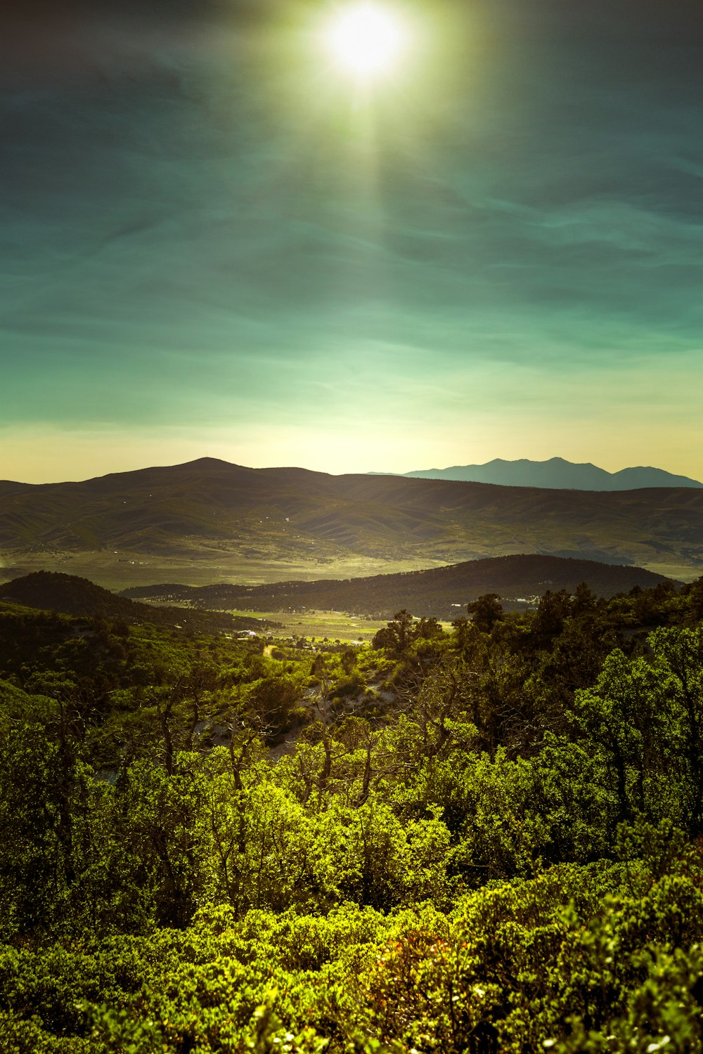 green trees and mountains during daytime