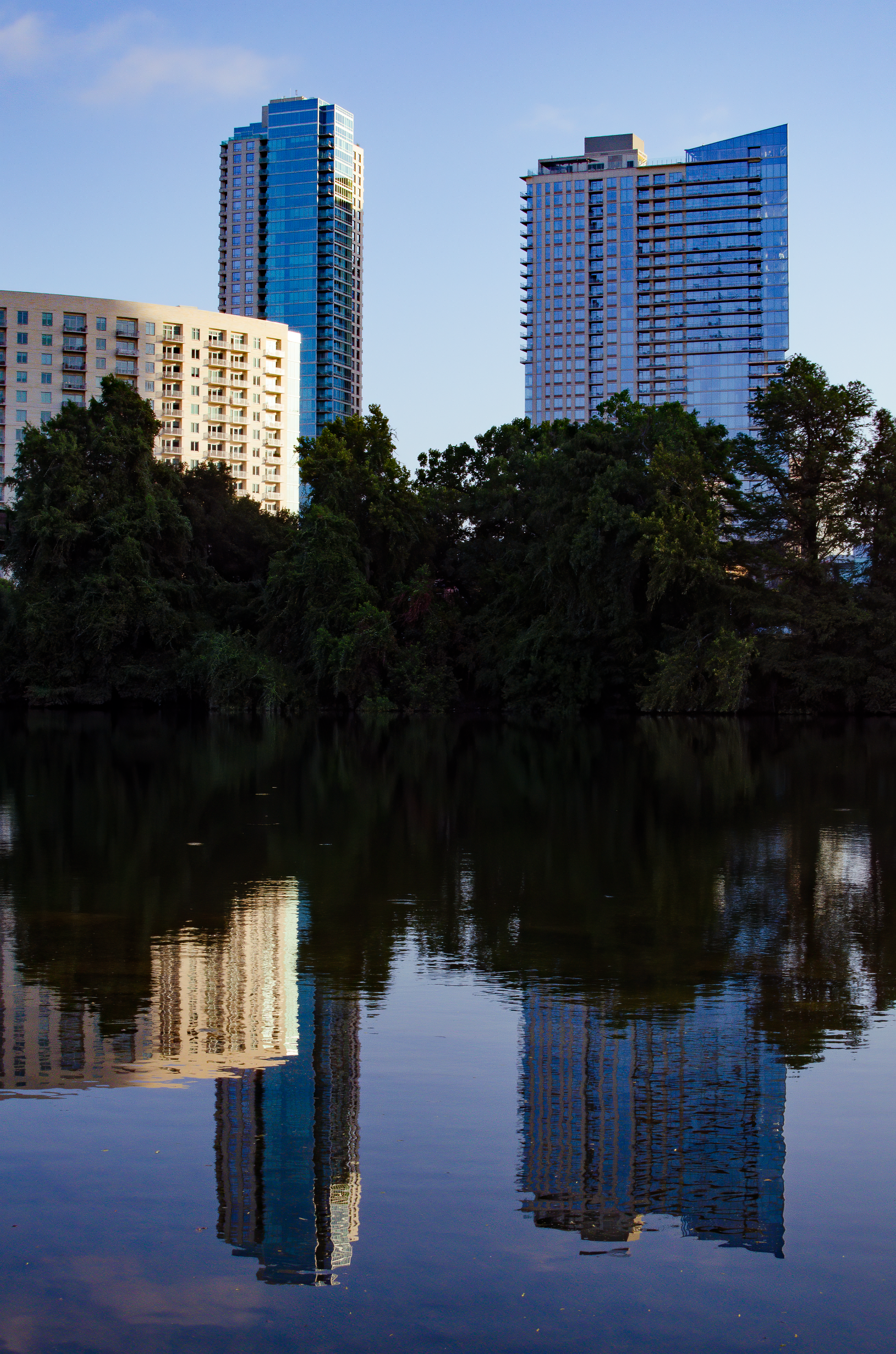 green trees near body of water during daytime