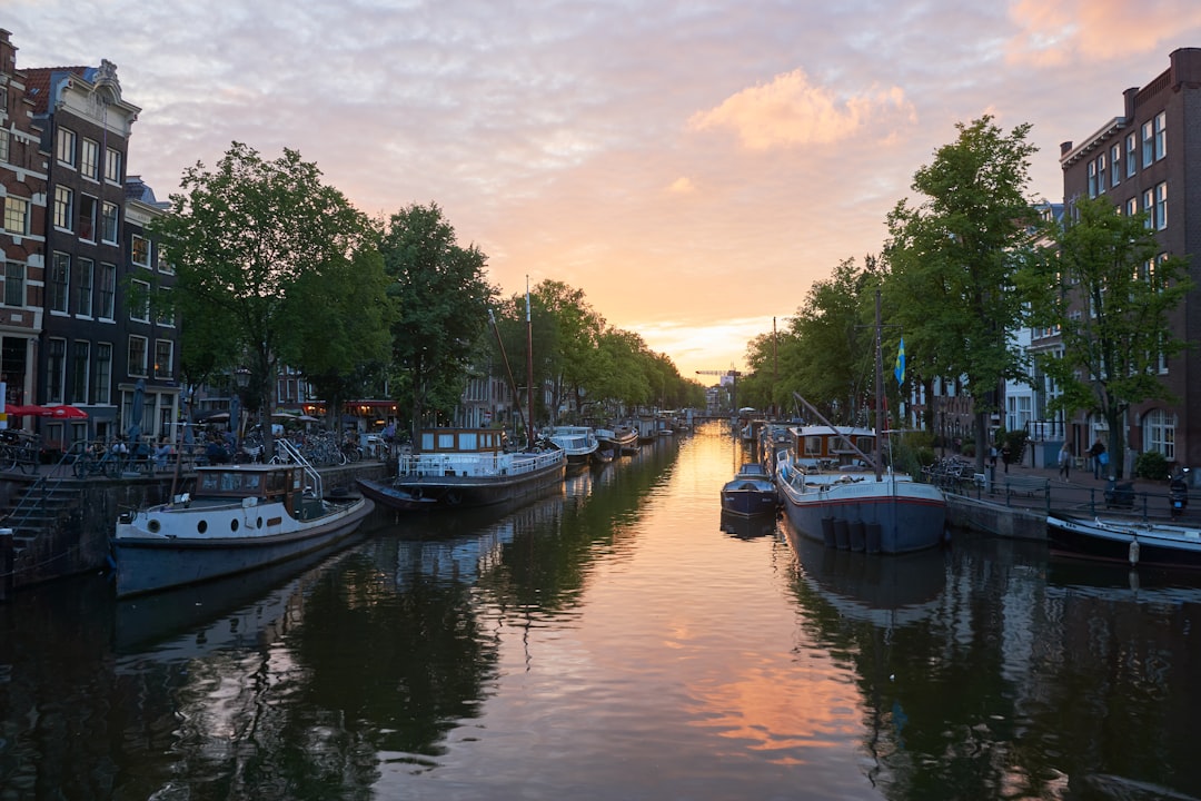 Essential Netherlands Picks for Solo Travelers Seeking Value - Expe… — Essential Netherlands Picks for Solo Travelers
