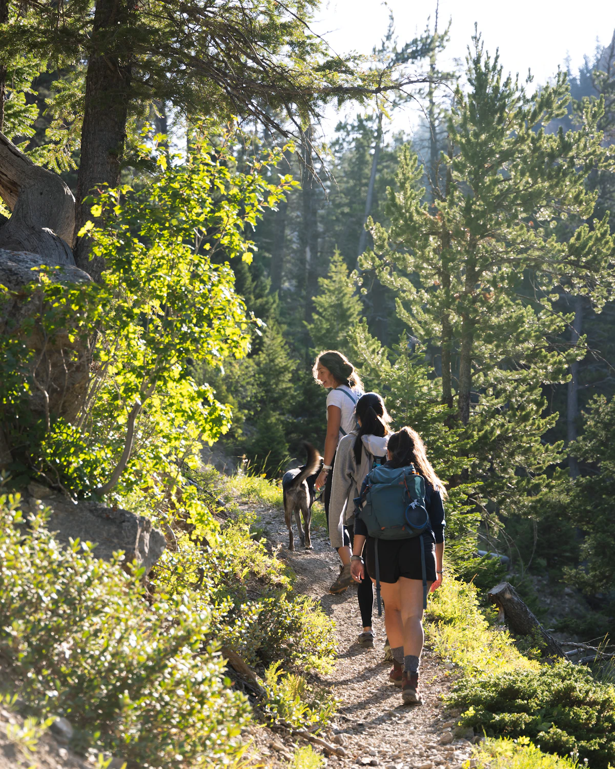 Women hiking a forest trail