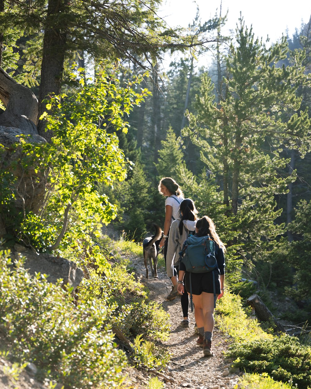 man in blue t-shirt and black shorts walking on forest during daytime