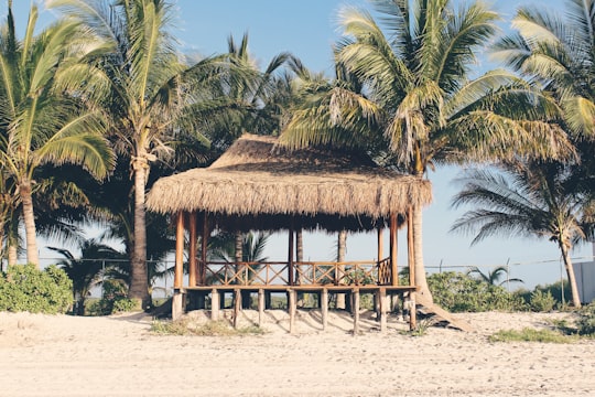 brown nipa hut on brown sand during daytime in Playa del Carmen Mexico