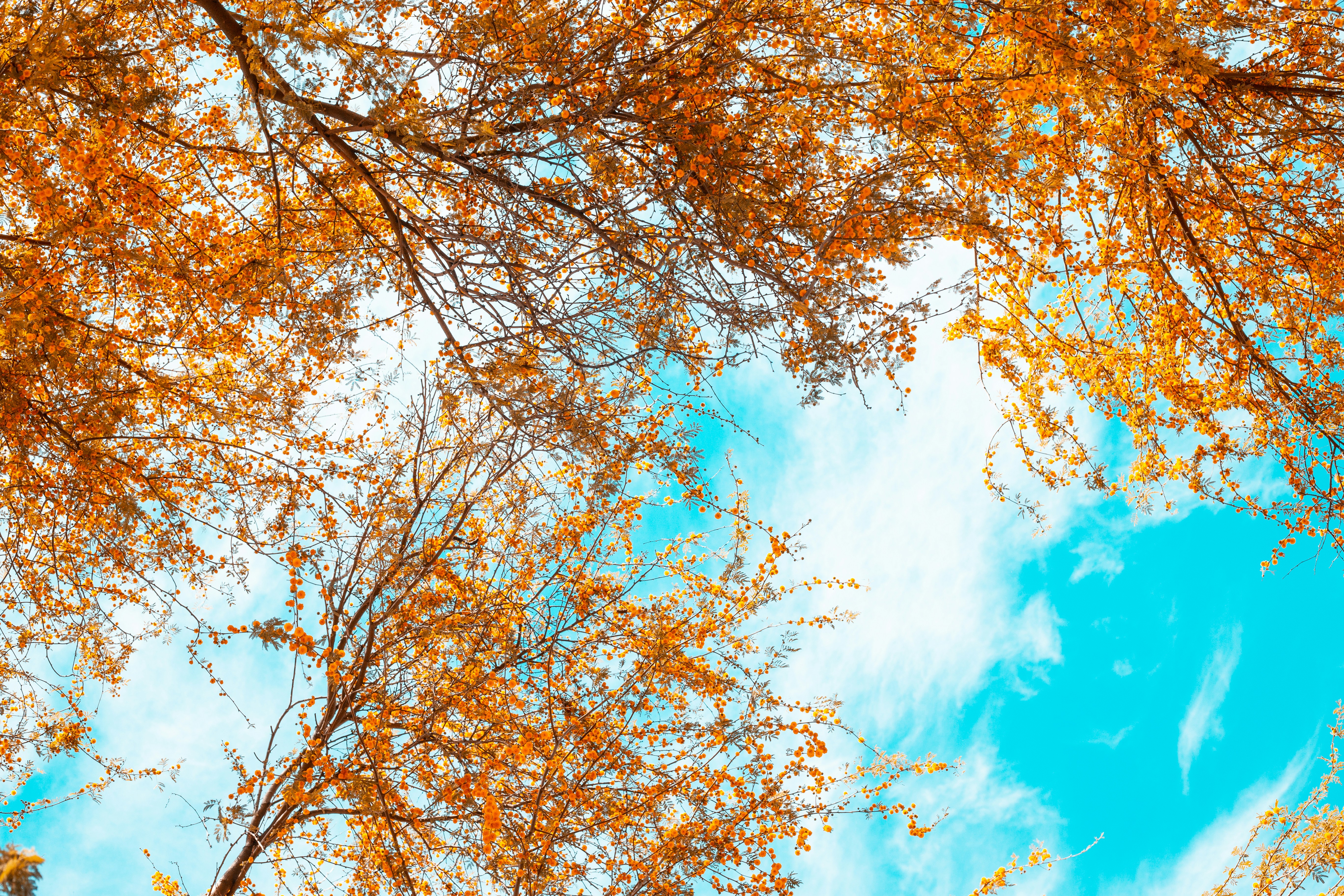 Photo by fortheloveofsmoke