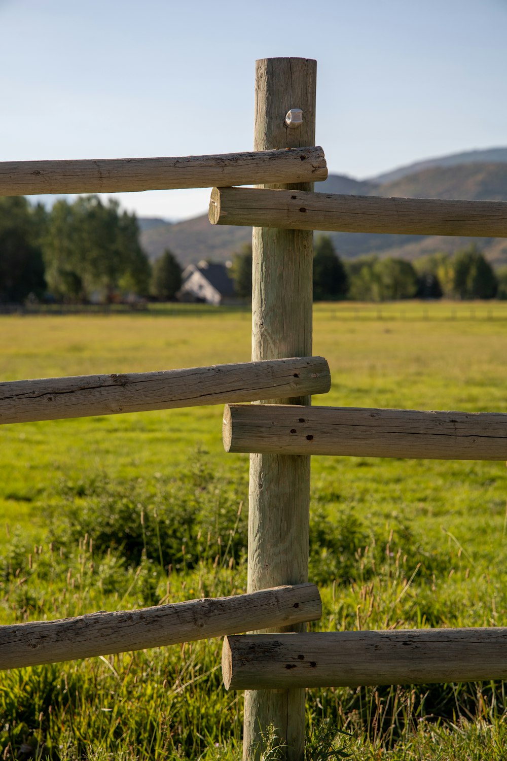 recinzione di legno marrone sul campo di erba verde durante il giorno