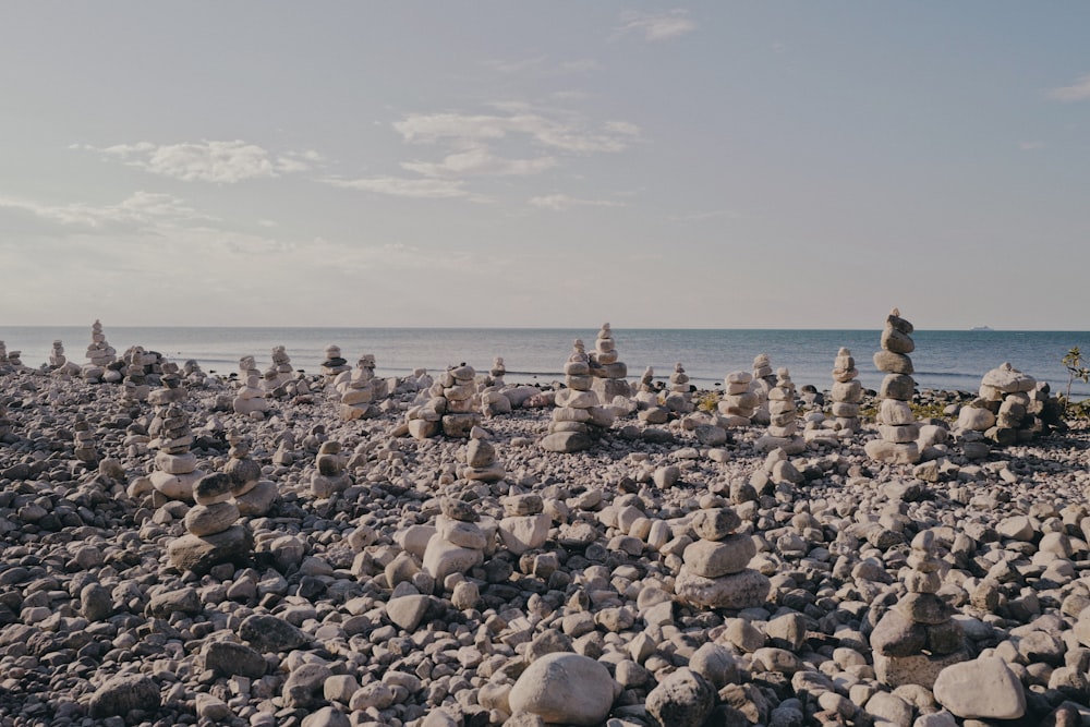 gray and brown rocks near body of water during daytime