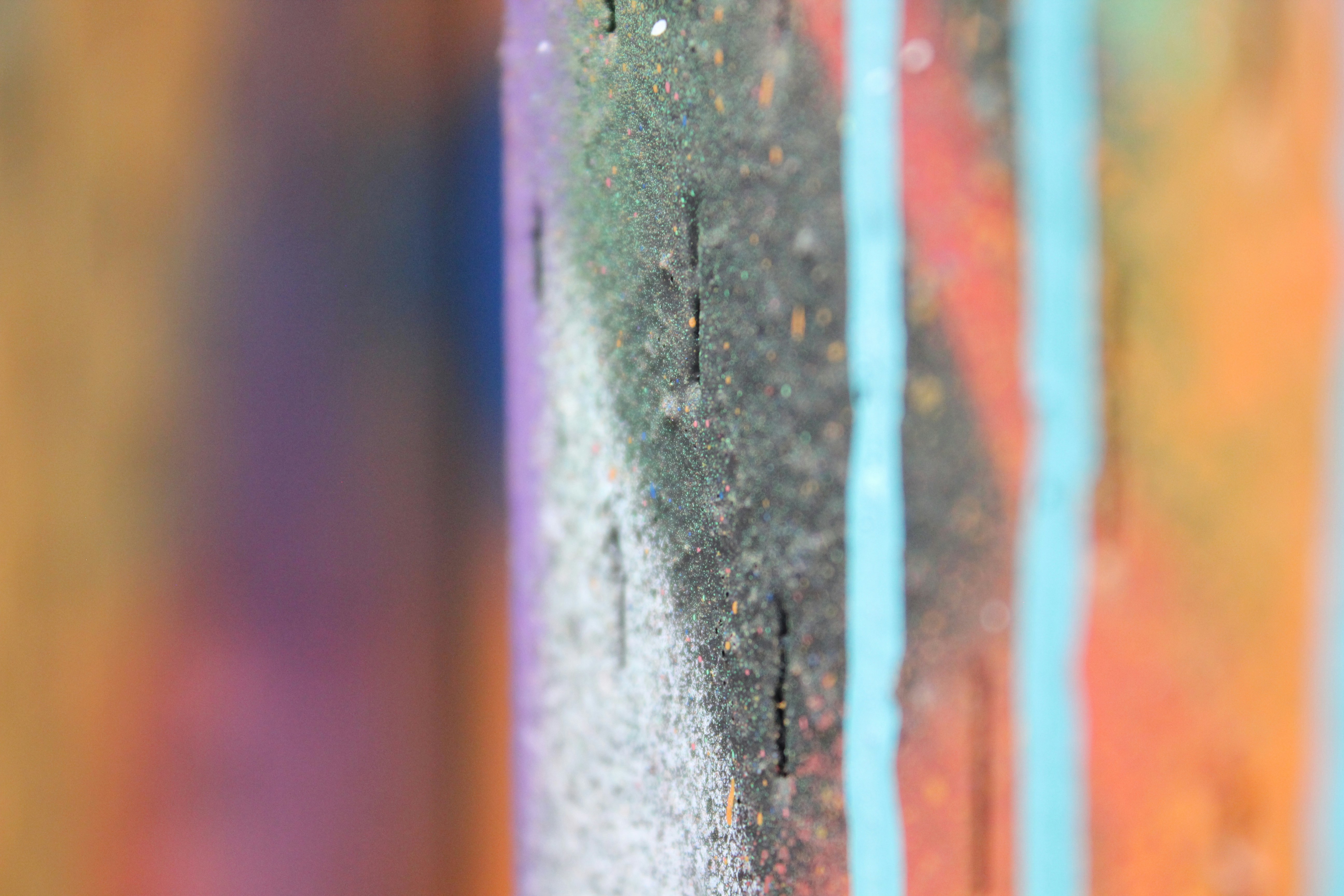 black and brown insect on gray concrete wall