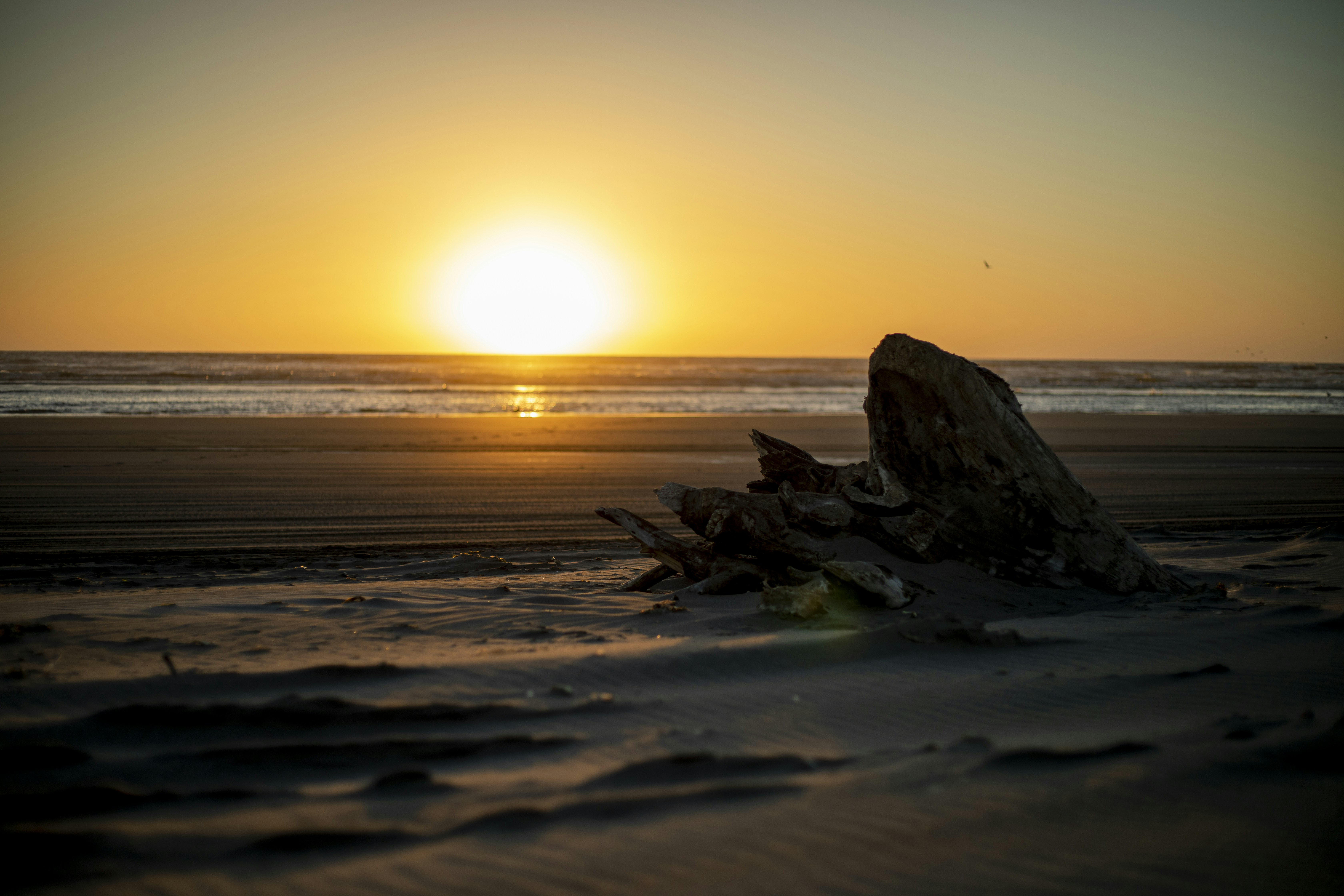 Photo by madhatter_granneman