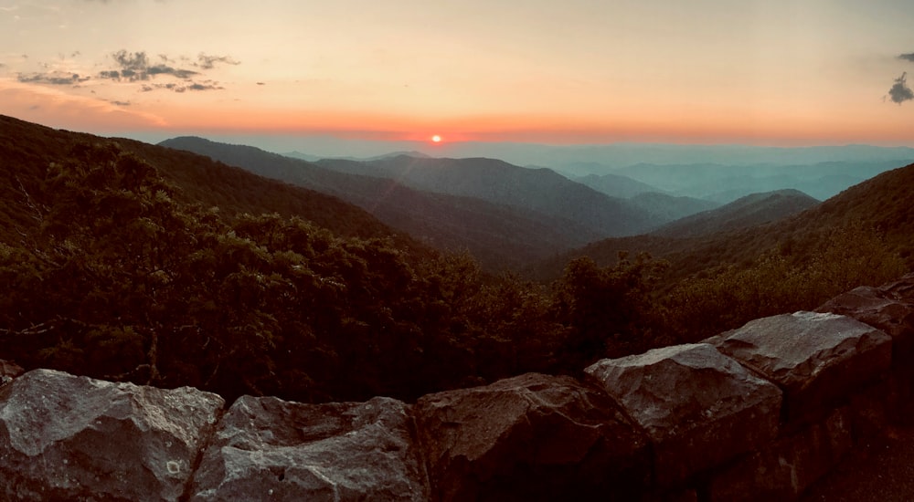 green trees on mountain during sunset