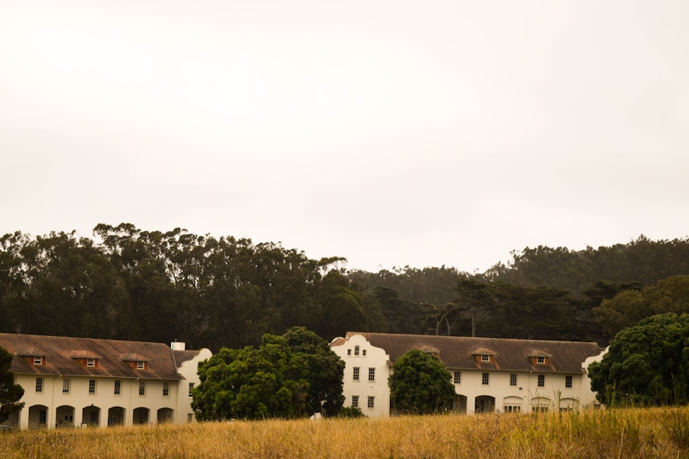 white and brown house on green grass field