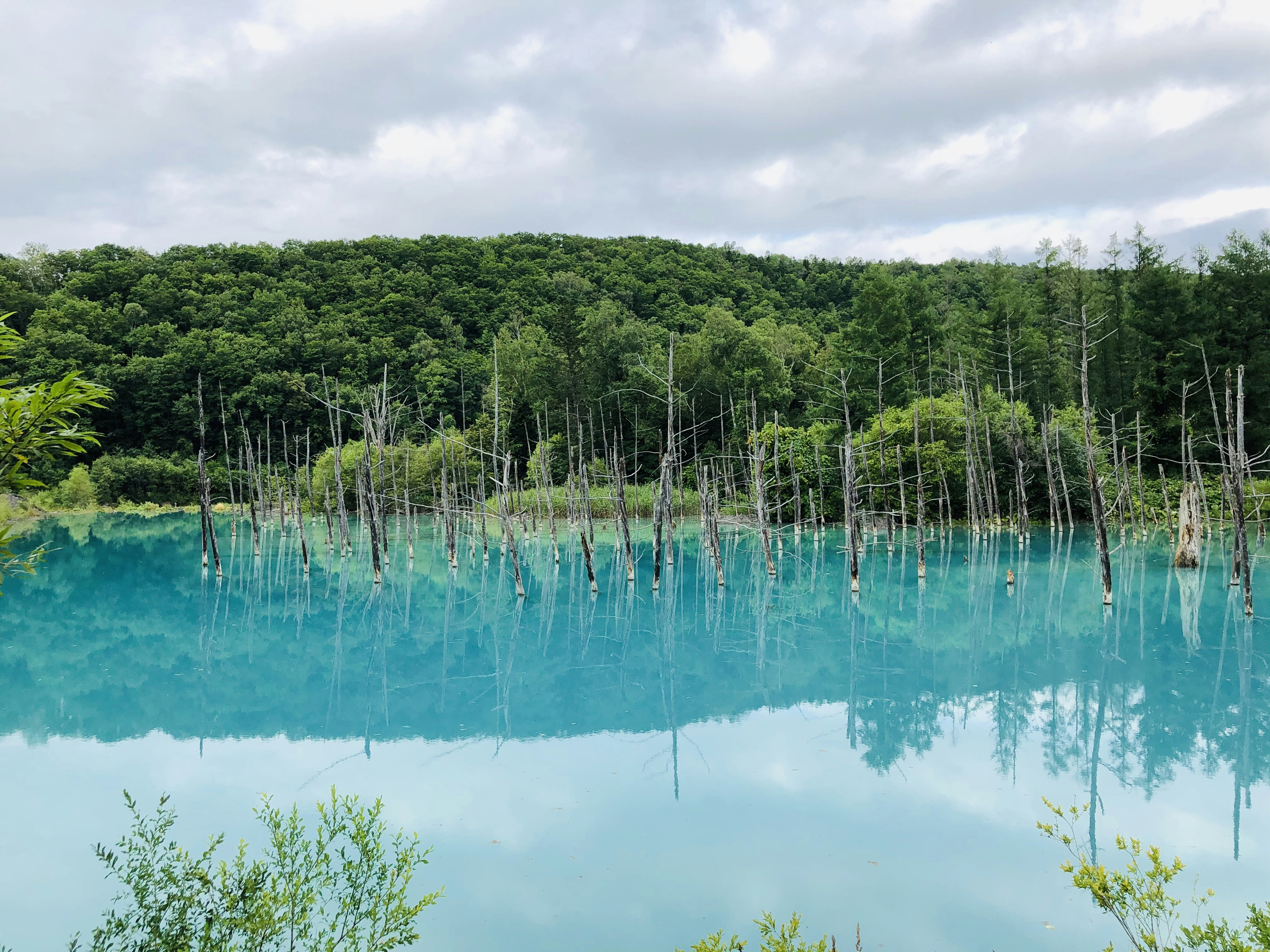 Blue Pond