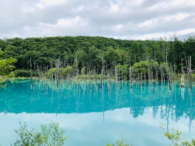 Shirogane Blue Pond - Japan