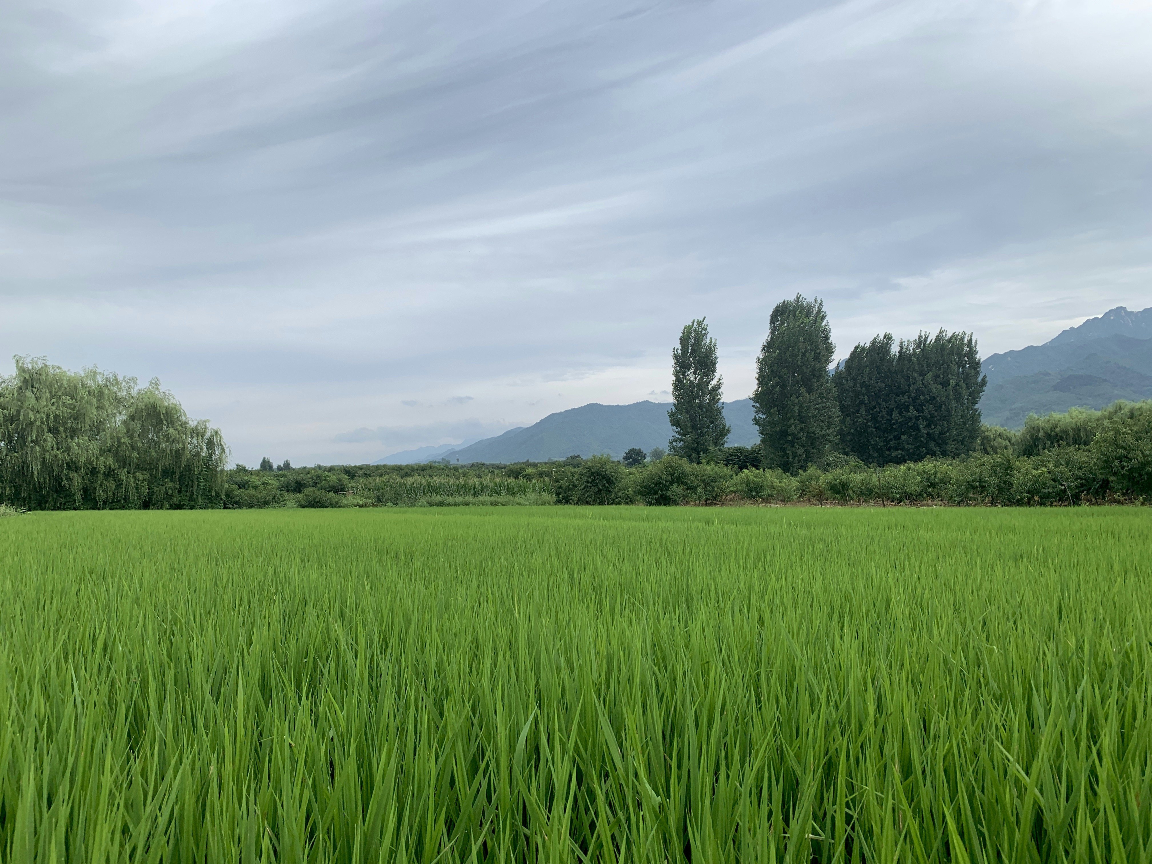 Photo by markus_dude