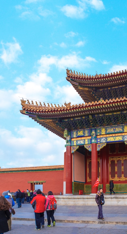 brown and green temple under blue sky during daytime in The Palace Museum China