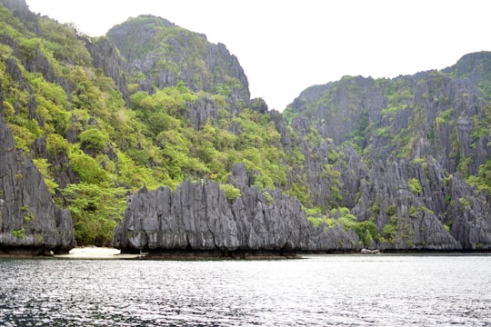 green and gray mountain beside body of water during daytime in Palawan Philippines