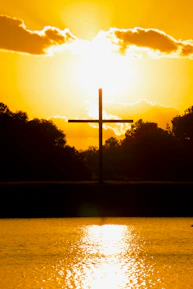 silhouette of trees near body of water during sunset