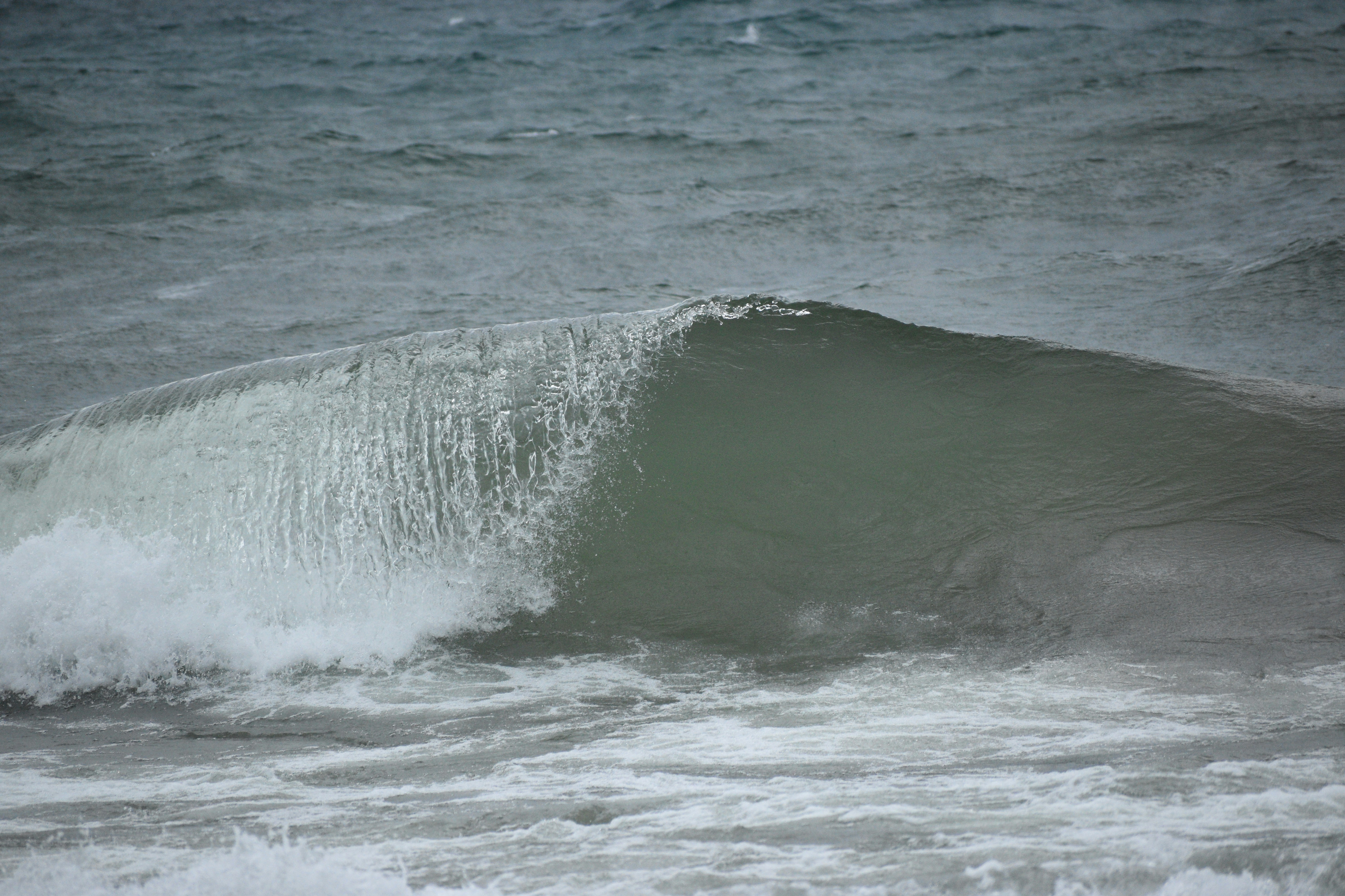 Photo by photeggraphs