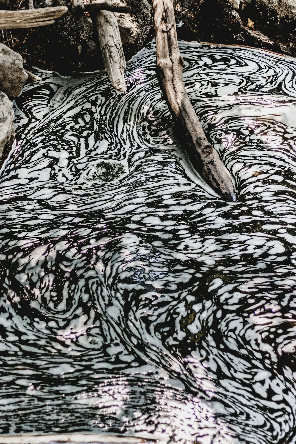 brown and white animal tail on water