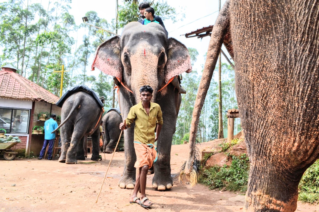 Wildlife photo spot Kerala Nelliyampathy