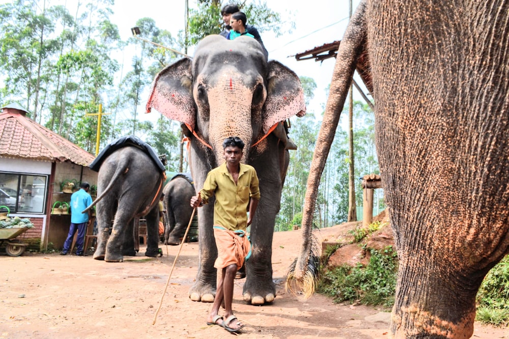 man in yellow jacket and brown pants standing beside black elephant during daytime