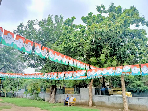 Volunteers planting trees in a community park with blue and white banners.