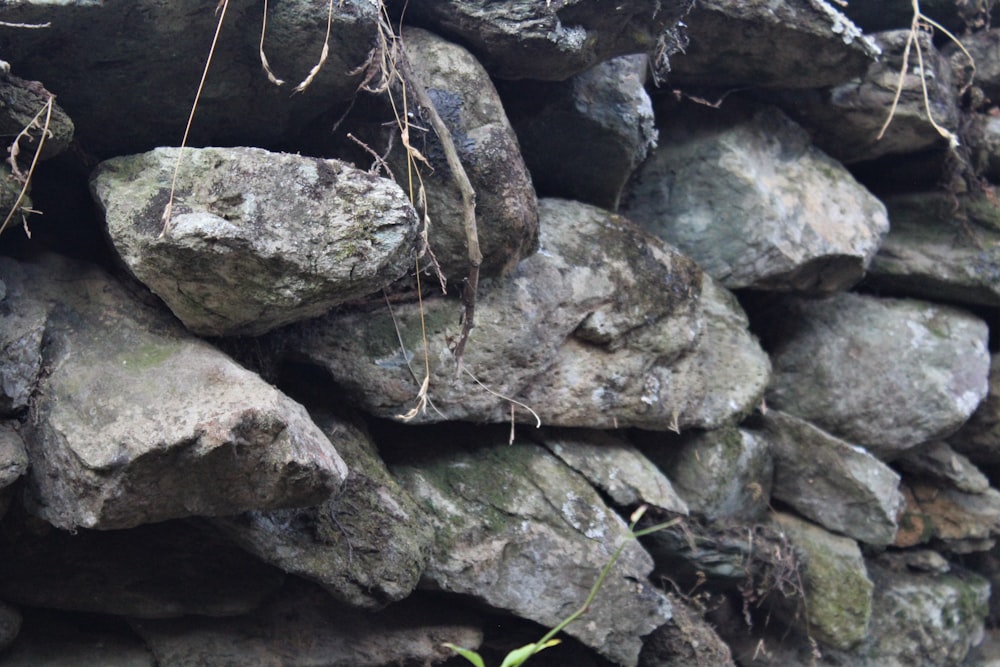 brown and gray rocks during daytime