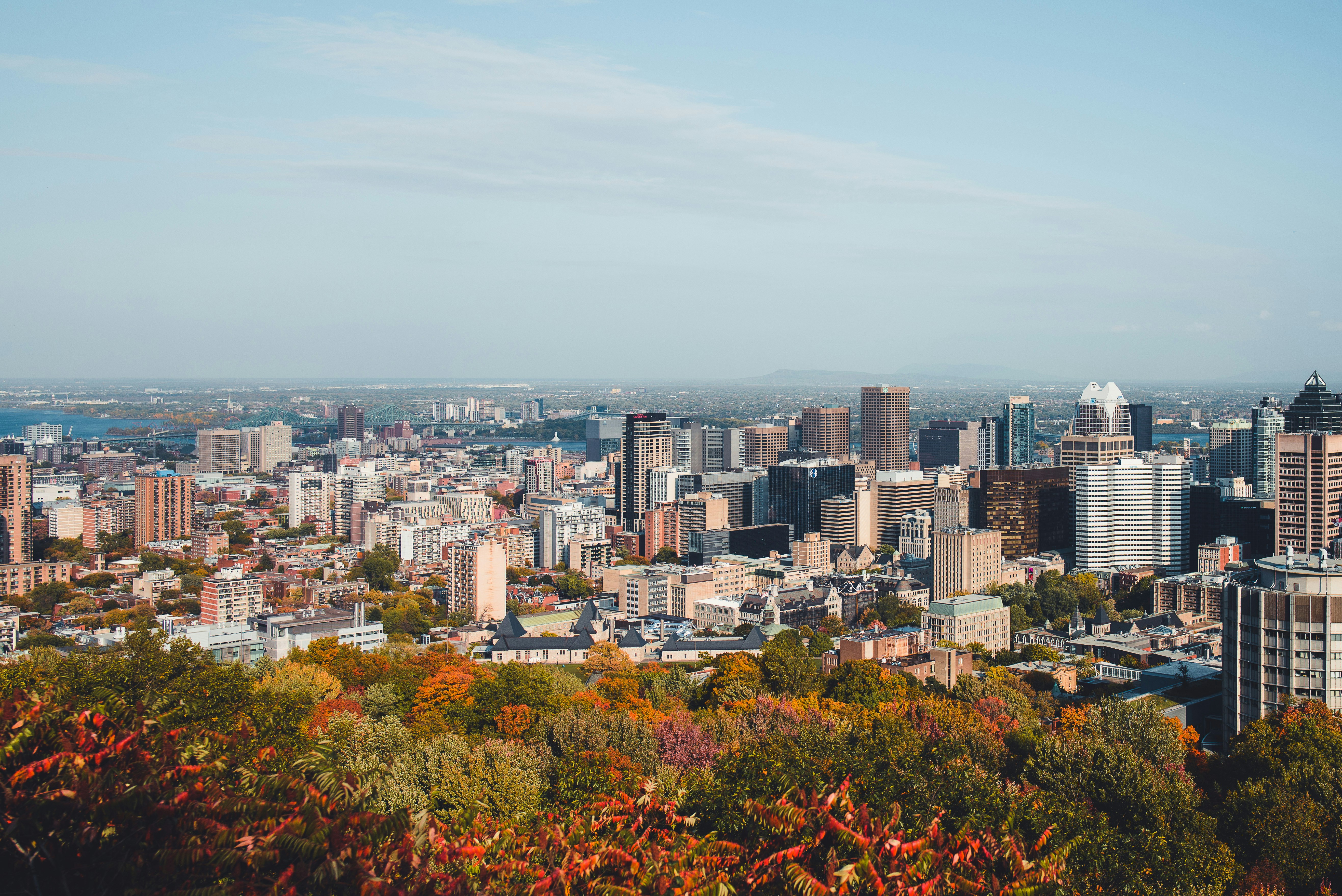 city skyline under blue sky during daytime