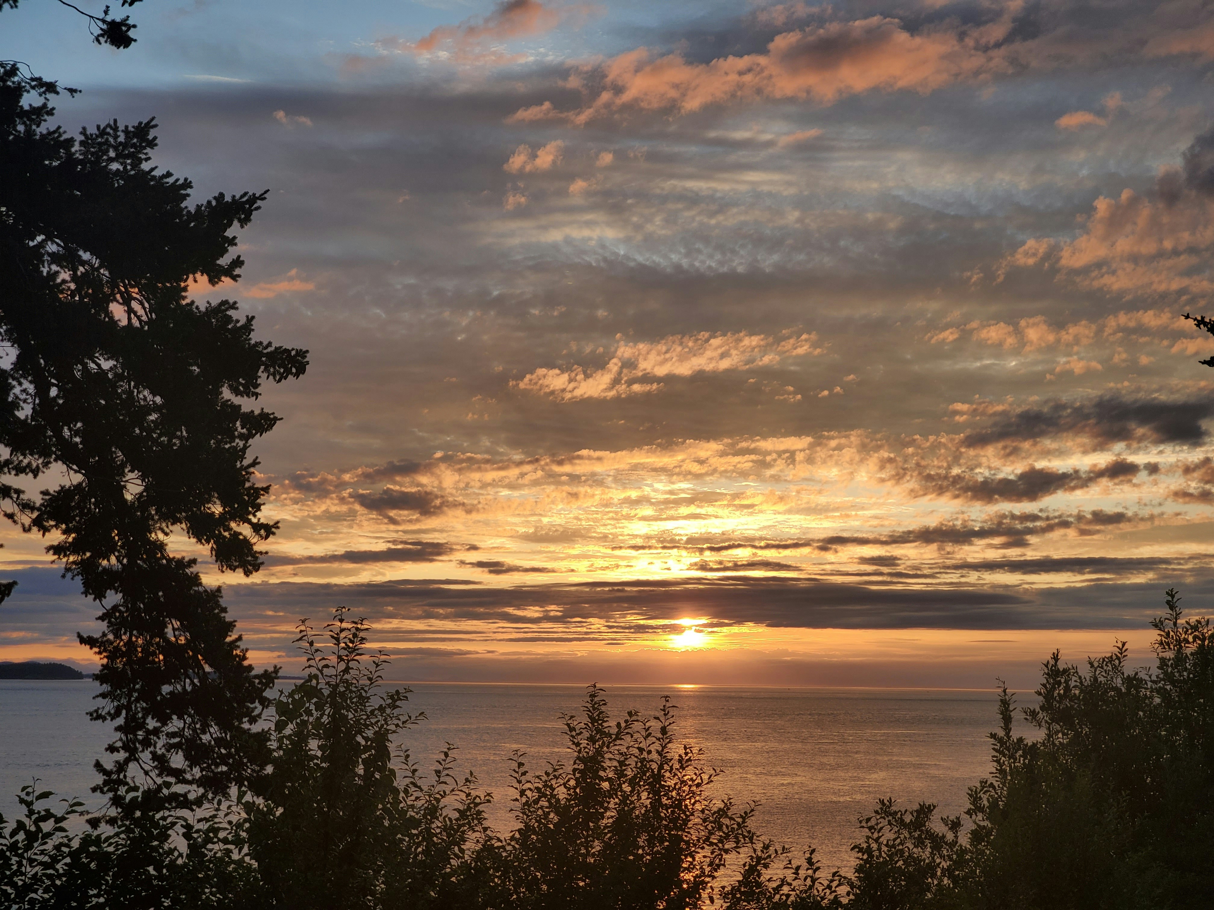 Photo by prolandscapes