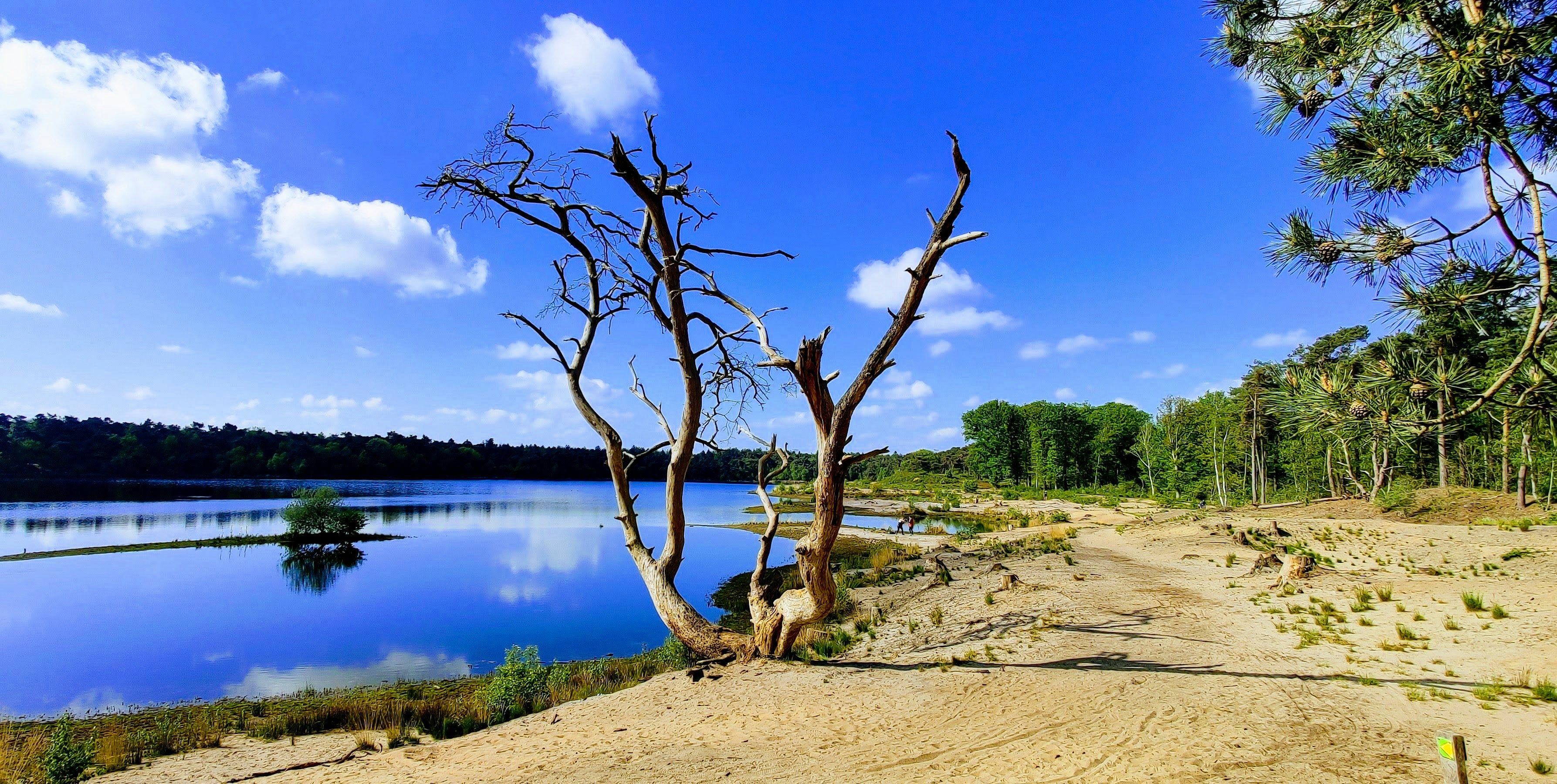 Afbeelding van Oisterwijk