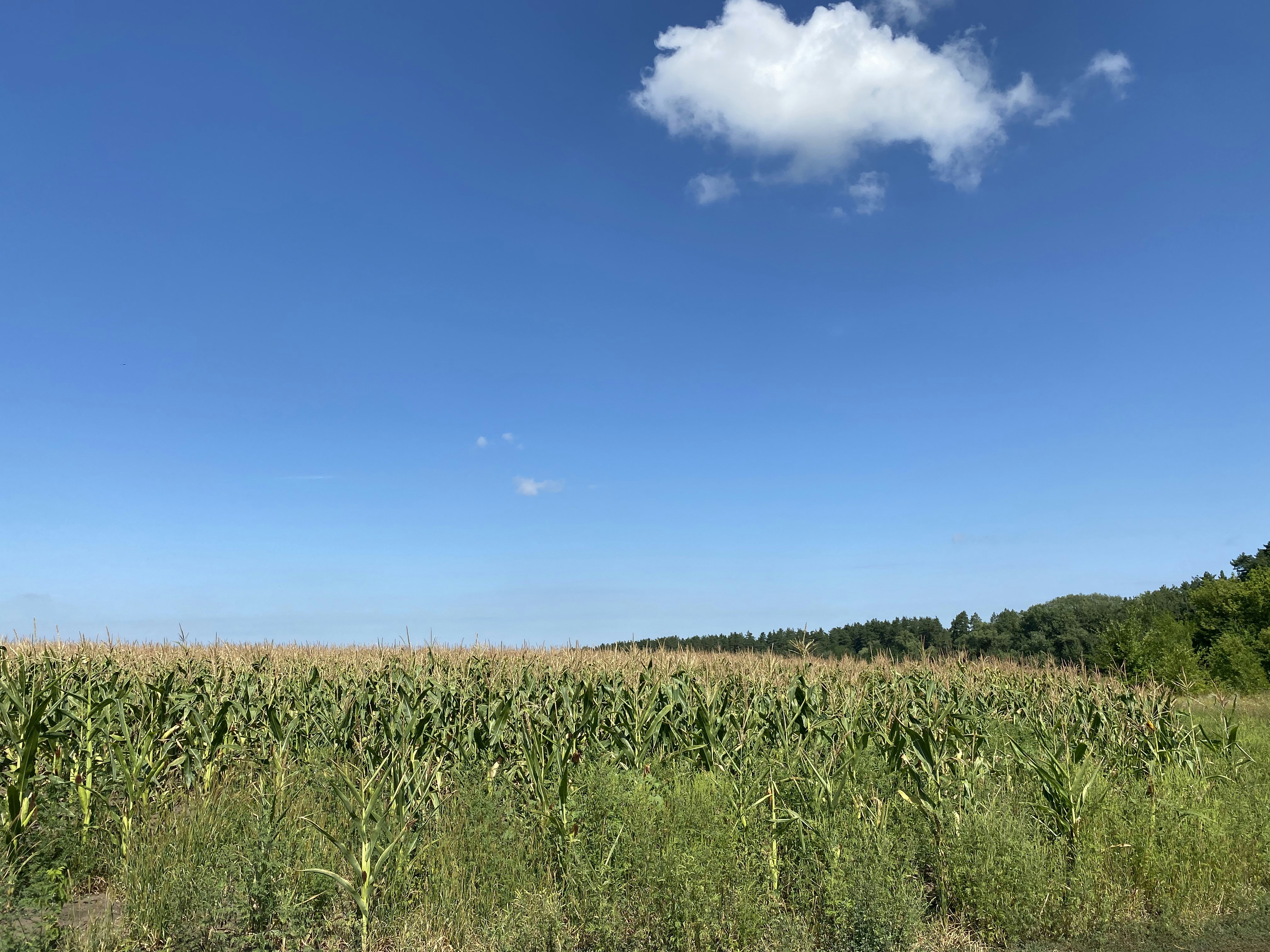 FRIDAY August 22 Open Thread