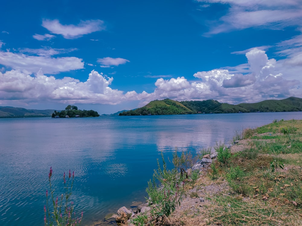 green grass near body of water under blue sky during daytime