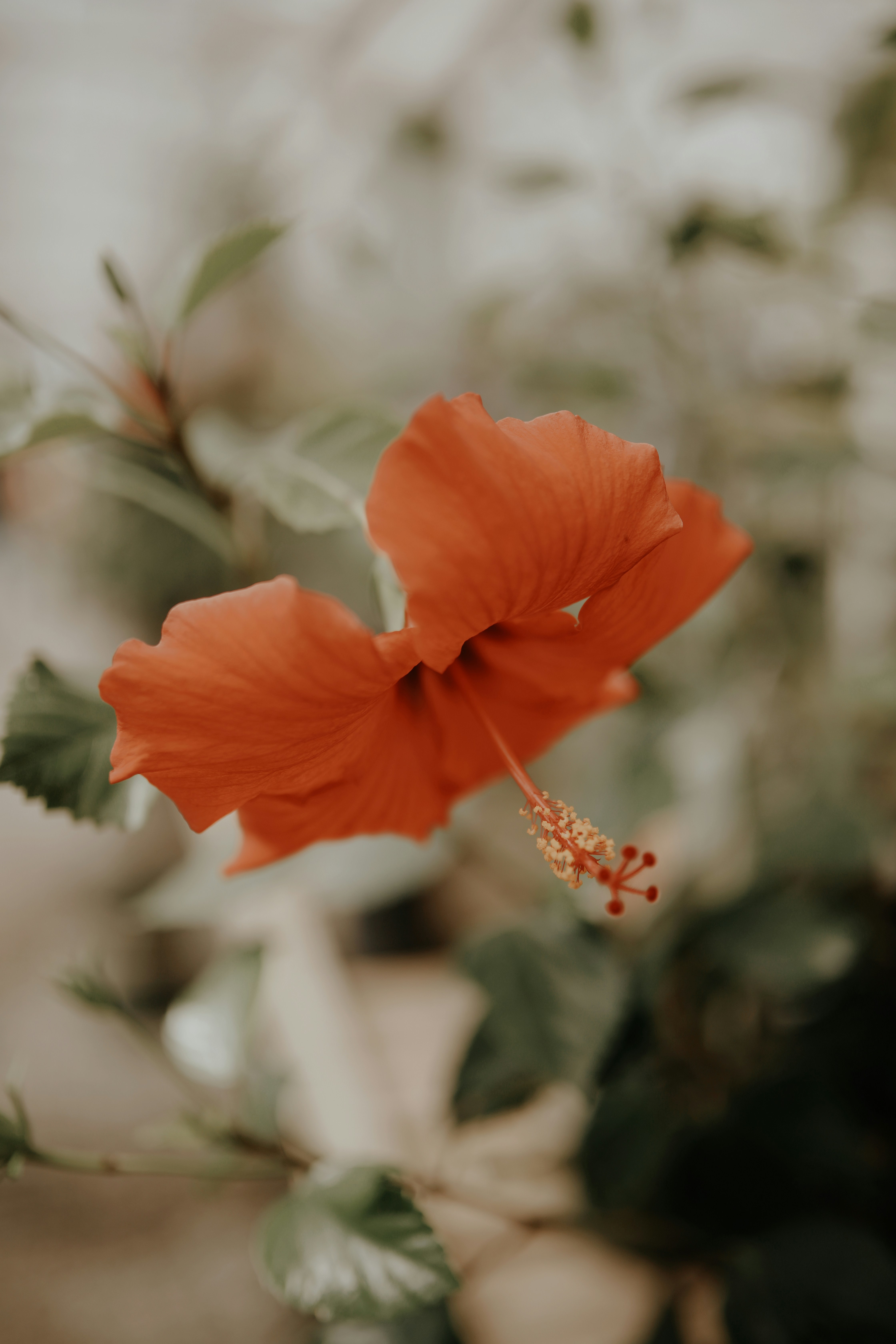 Photo by linaverovaya