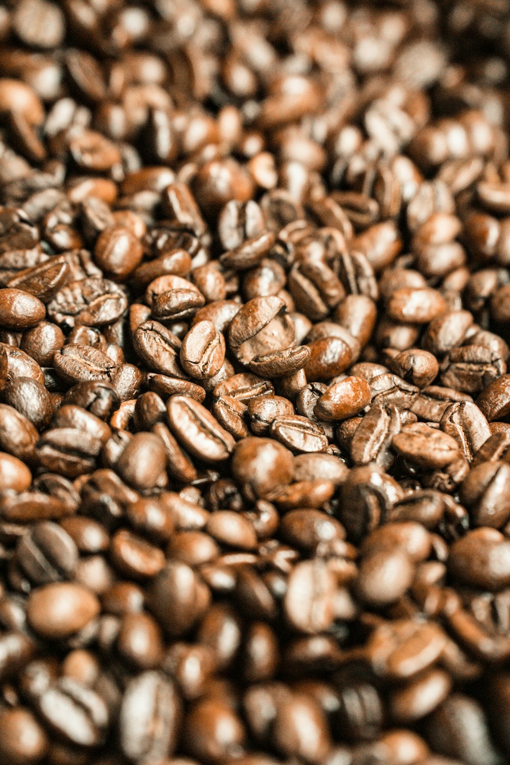 coffee beans on black surface