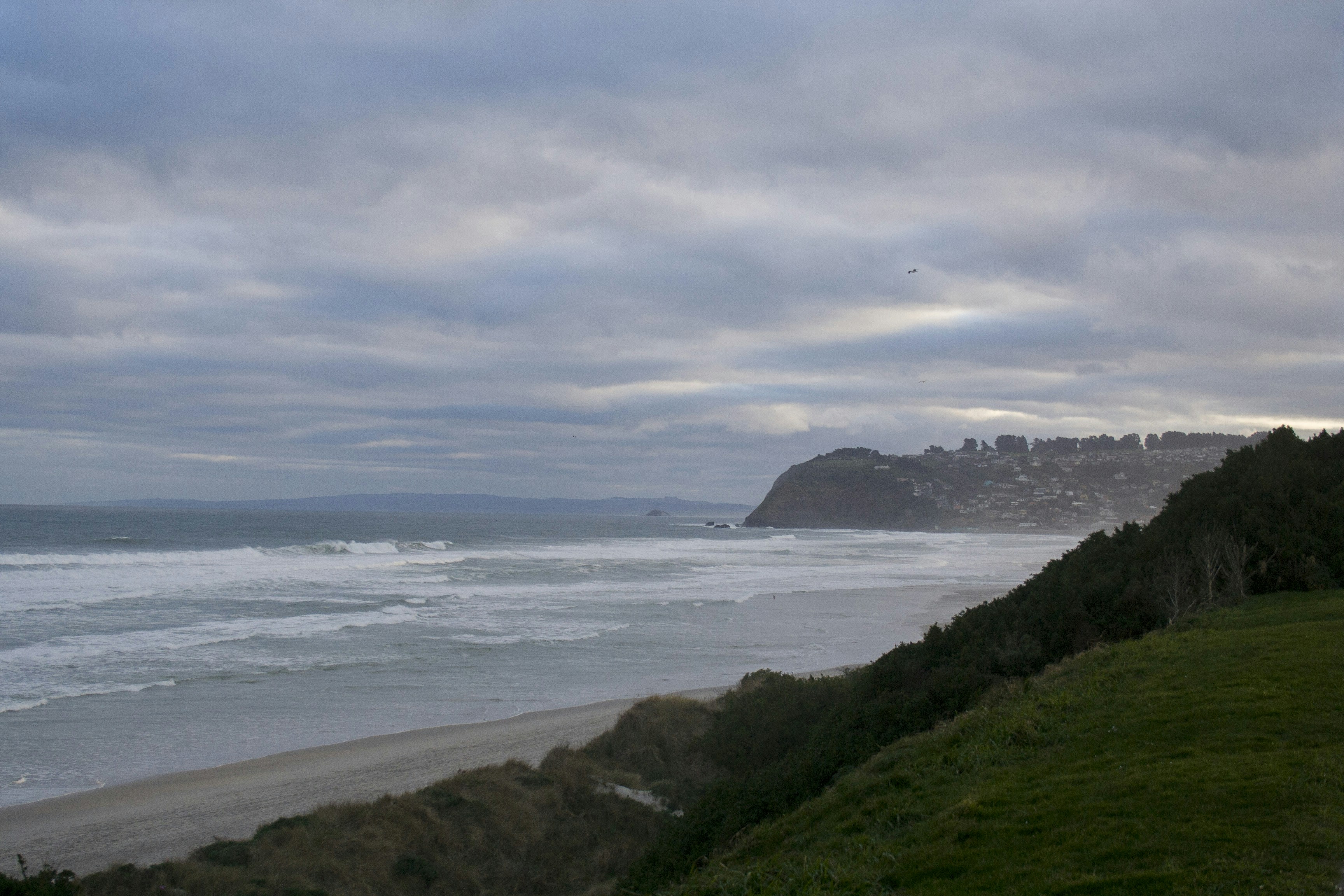 Photo by mathew_waters