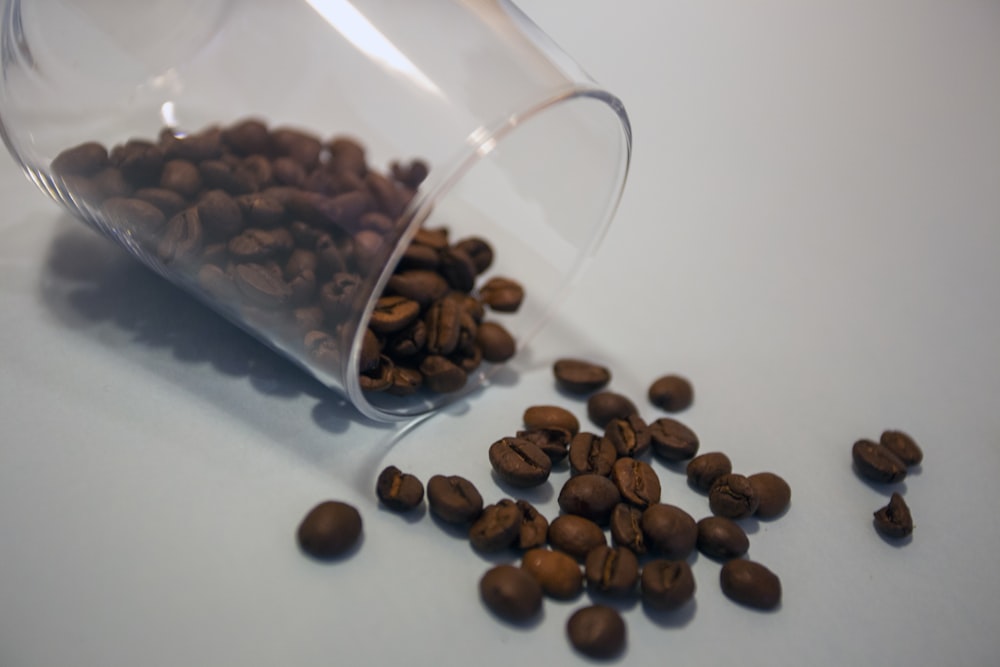 brown coffee beans in clear glass cup