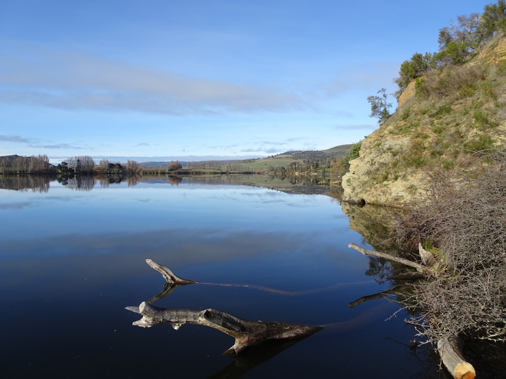 body of water between green trees during daytime