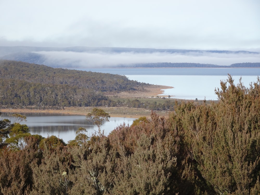 Champ d’herbe brune près du lac sous des nuages blancs pendant la journée