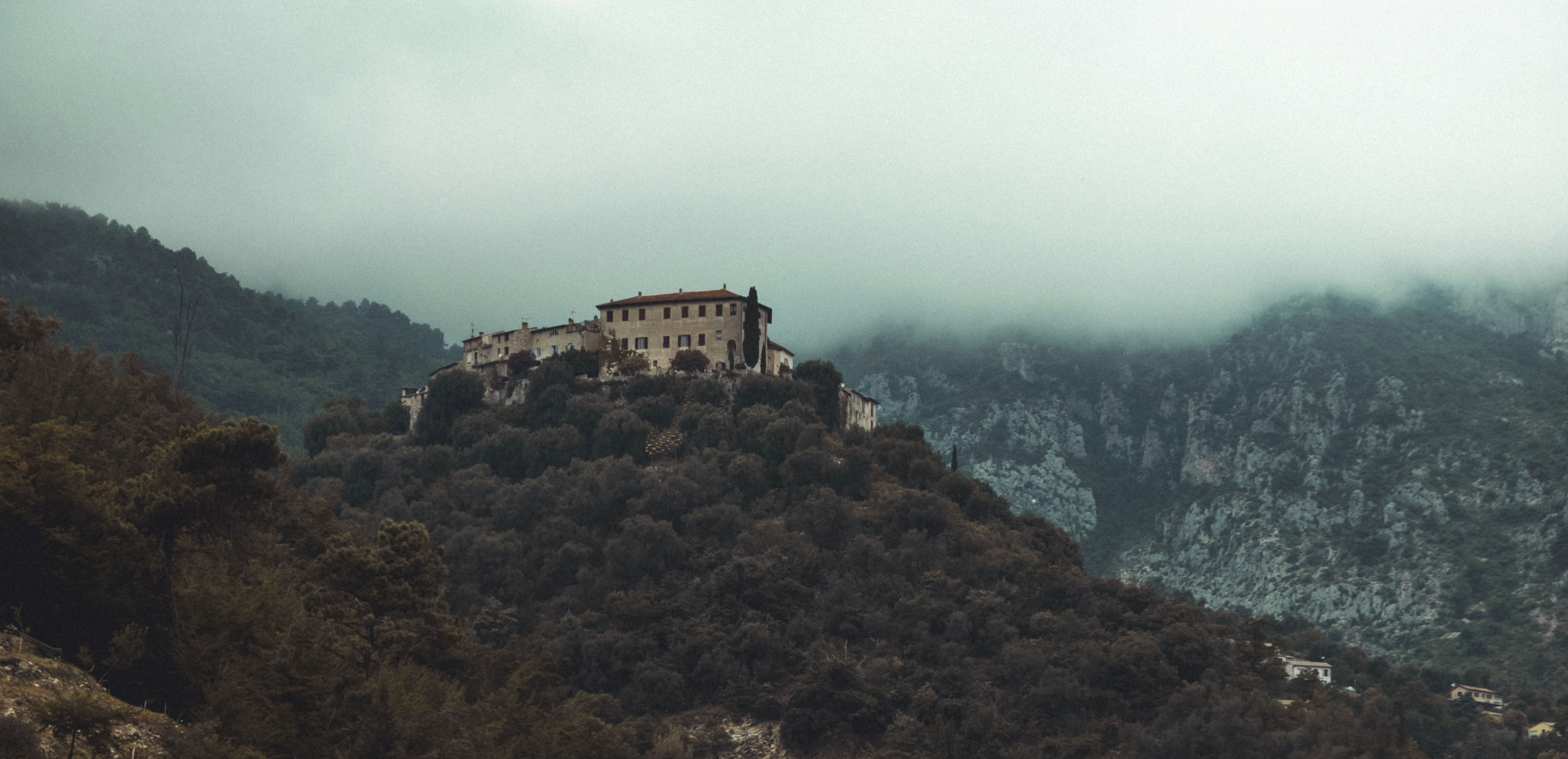 Photo by moritz_photography