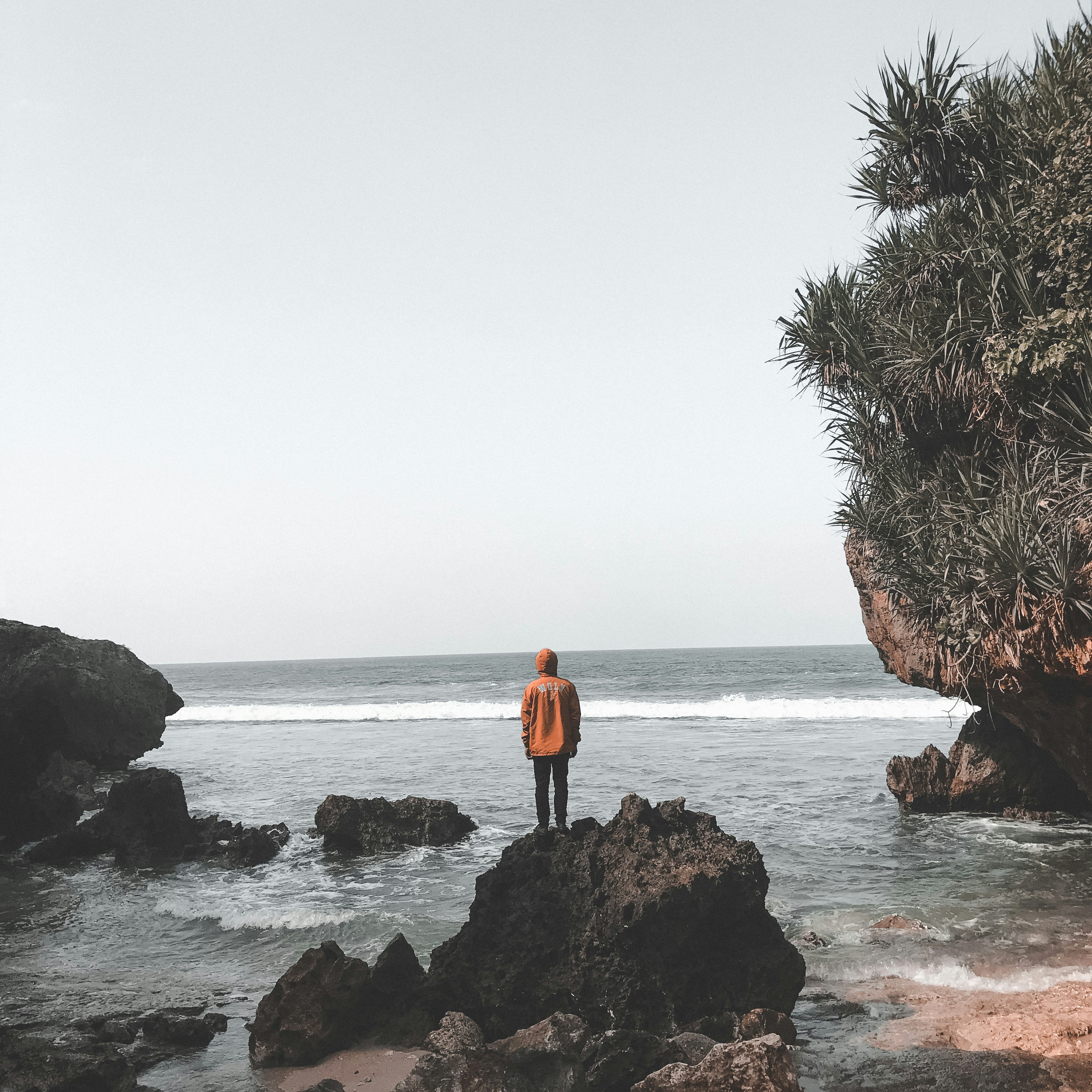 Photo by matiastitanl