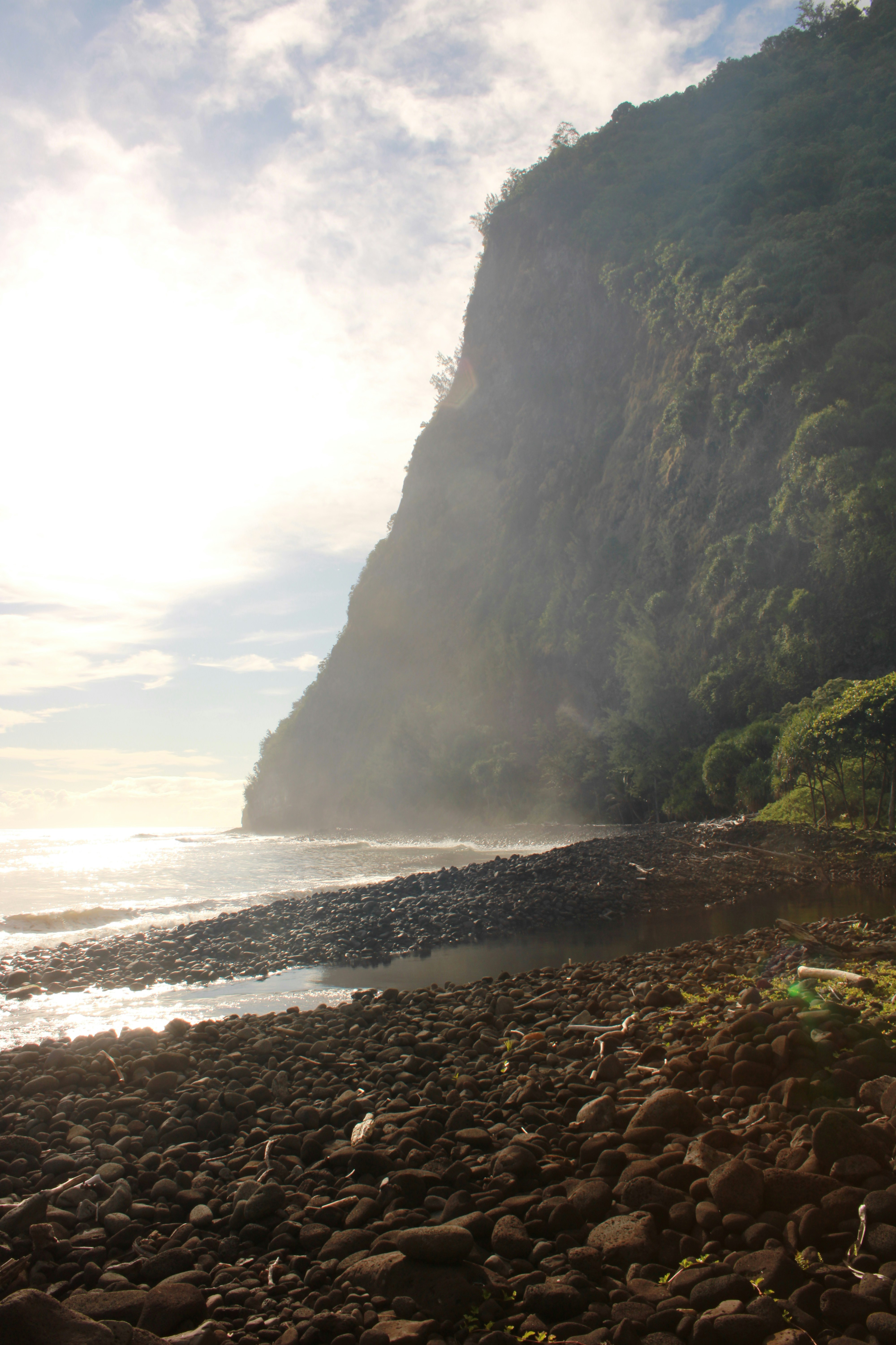 Photo by hauoli_essentials