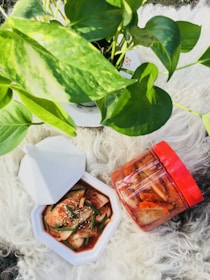 A lush green plant with vibrant leaves is placed on a fluffy white surface. Next to it, there is a hexagonal dish filled with kimchi, garnished with sesame seeds and green onions. A jar with a red lid, filled with more kimchi, is positioned nearby.